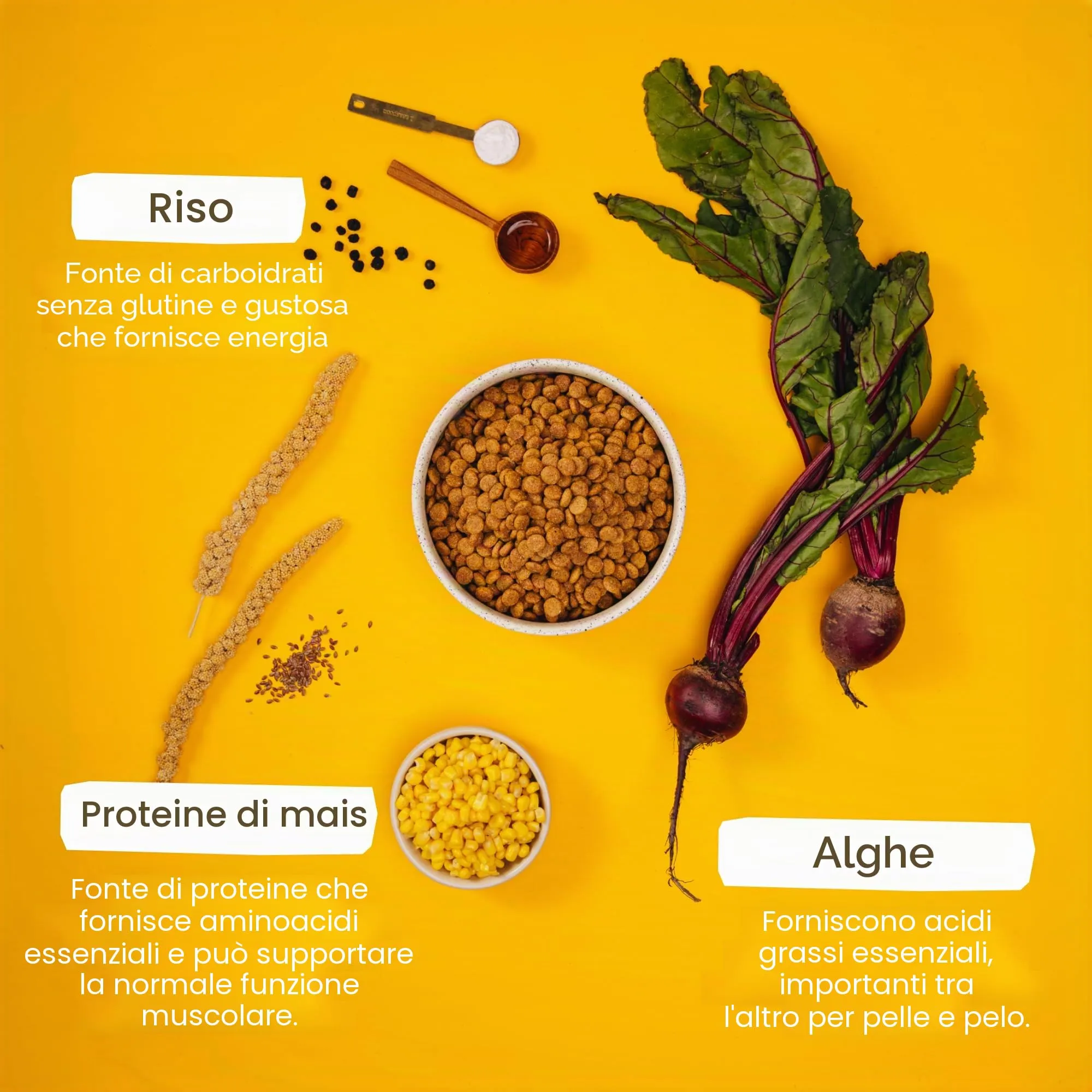 VEGDOG Simply Crunch cibo secco ipoallergenico (4 kg) | Cani adulti | senza glutine e soia, ben digeribile, a basso contenuto di purine | Alimento completo per cani allergici con proteine di mais - immagine 4