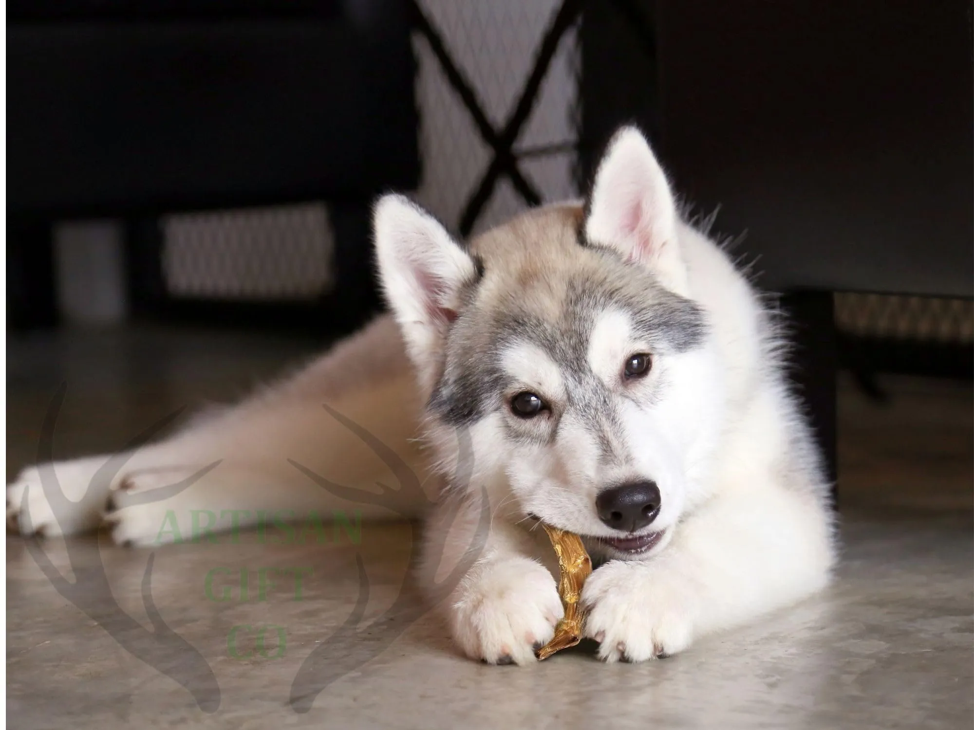 Collo di pollo Essicato per Cani, 1000 g. - immagine 6