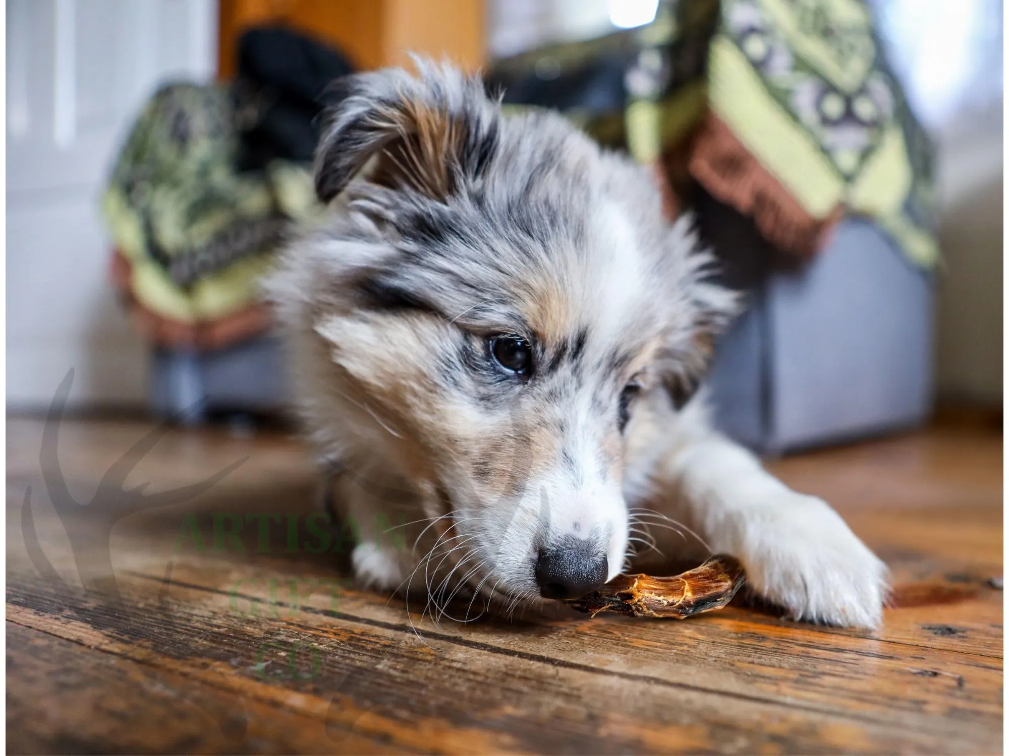 Collo di pollo Essicato per Cani, 1000 g. - immagine 8