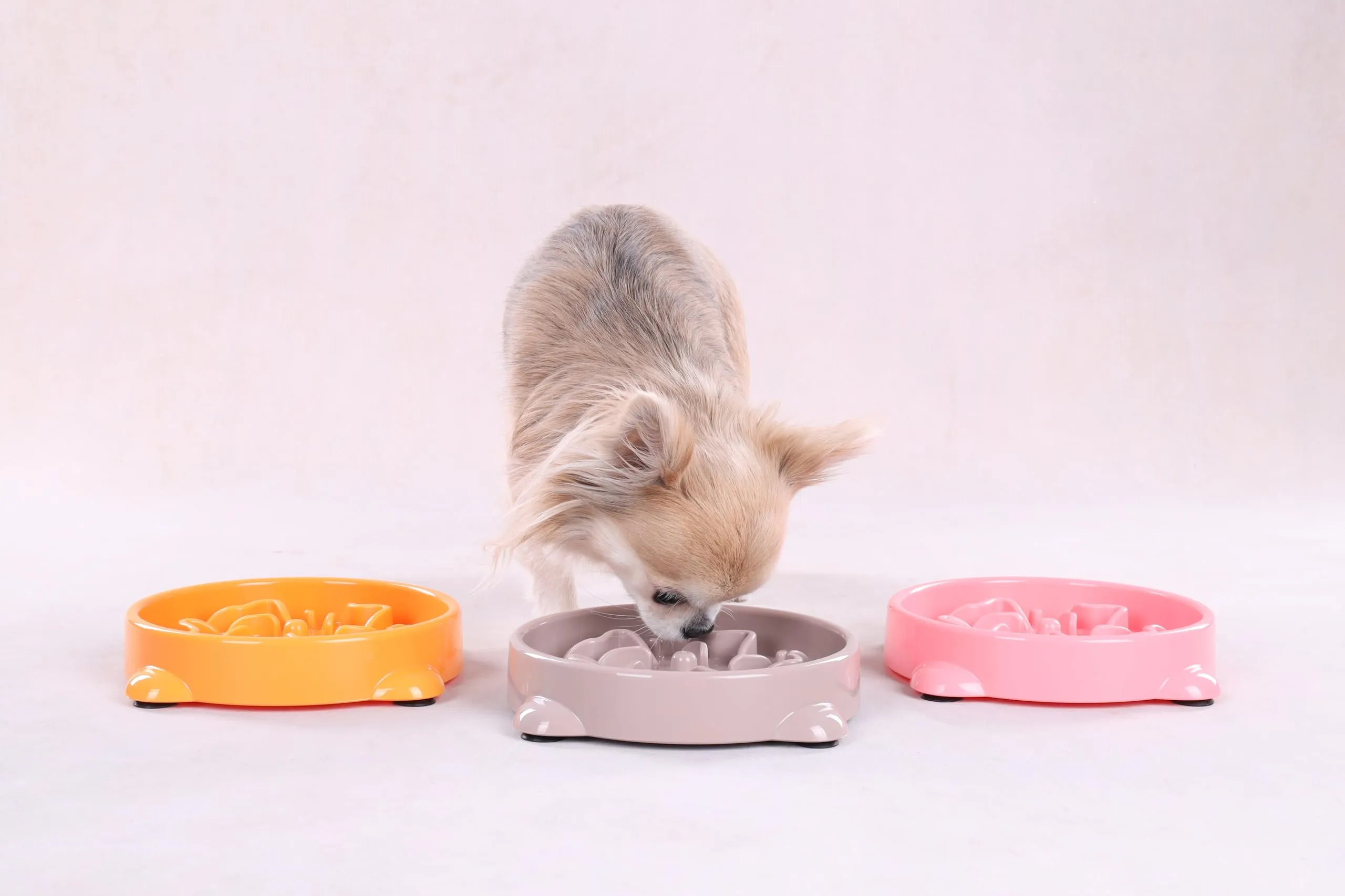 Flamingo Ciotola per Cani Anti Ingozzamento Bini 0.3L - 16x3,5cm - per cani di piccola taglia - Ciotola per alimentazione lenta - Favorisce un'alimentazione e una digestione lenta - immagine 5