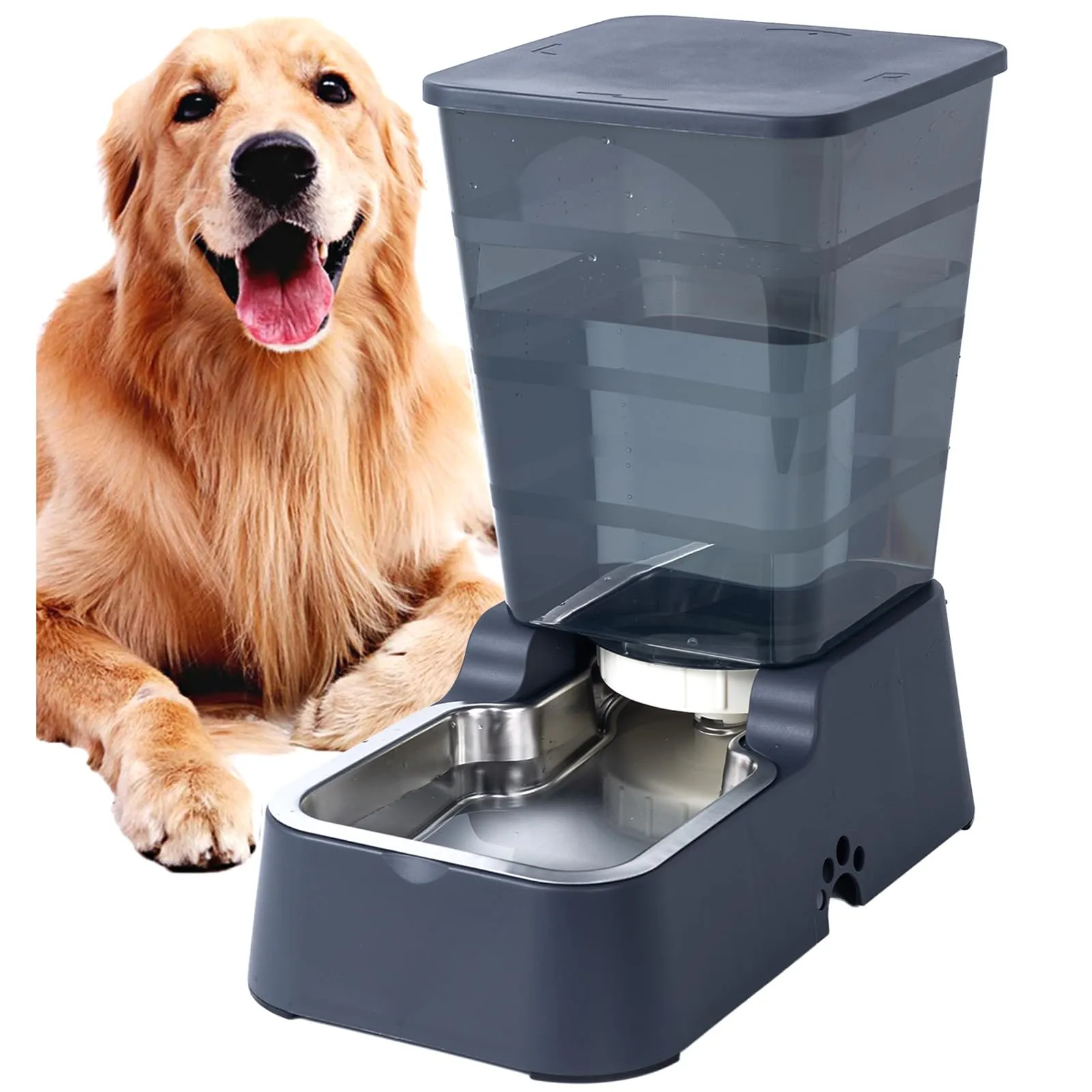 5L Automatico a Gravità Distributore di Acqua per Cani e Gatti, con Ciotola in acciaio Inossidabile, Adatto per Cani Gatti Domestici (Distributore di acqua 5 L grigio scuro) - immagine 1