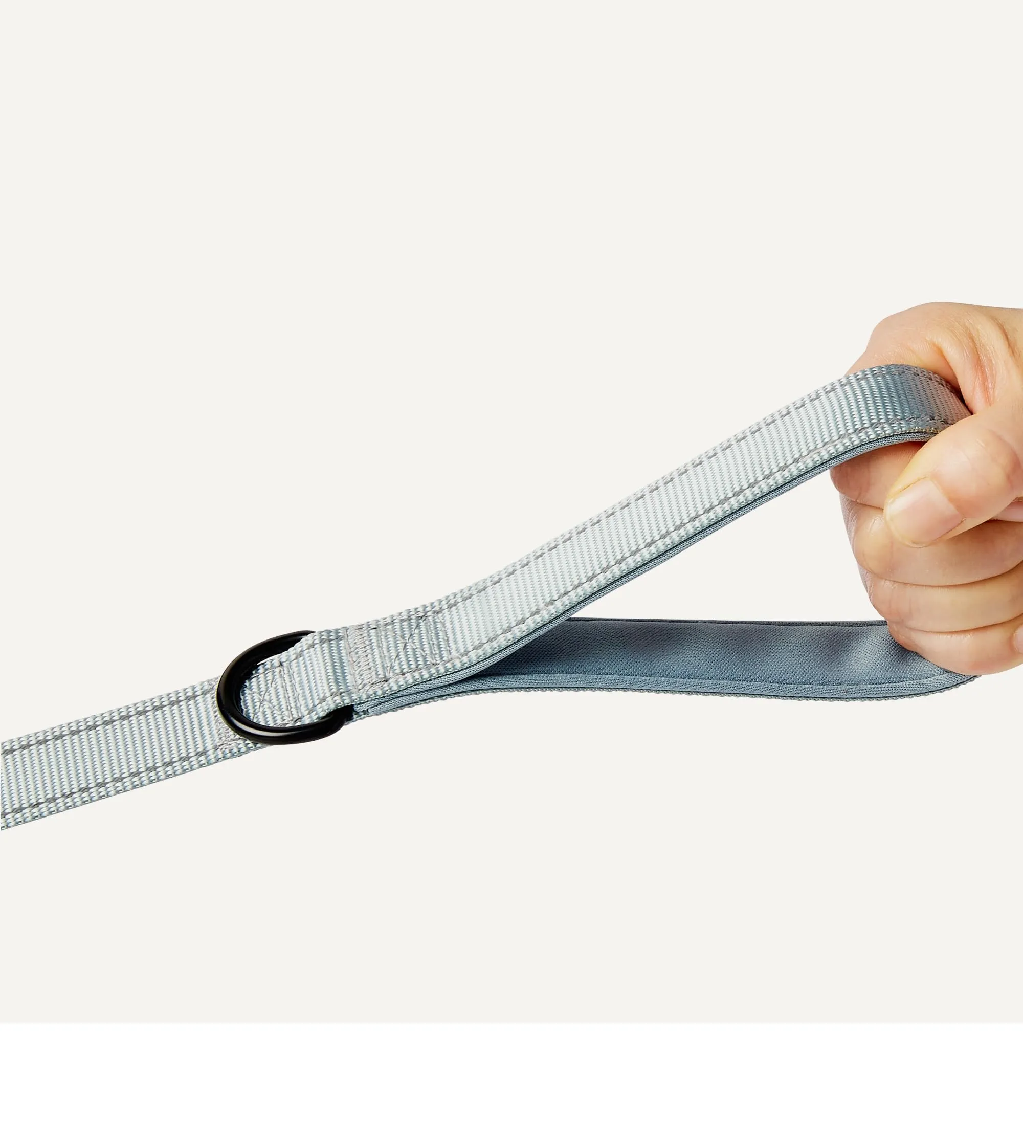 Amazon Basics - Guinzaglio Riflettente su Entrambi i Lati per Cani con Doppia Impugnatura Imbottita e Anello a D, 180cm, Nero/Blu - immagine 3