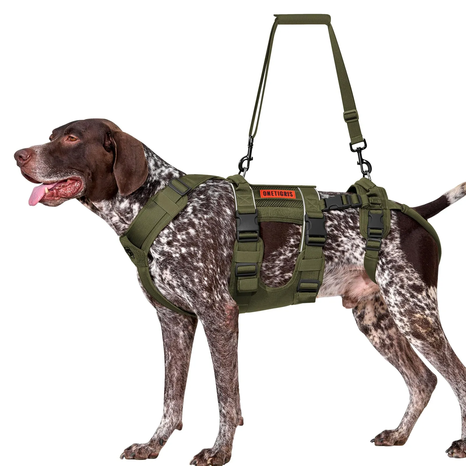 OneTigris SKYEWALKER - Imbracatura di sollevamento e supporto per cani, pettorina regolabile con 2 manici per supporto e riabilitazione, adatta per cani di taglia media e grande, verde, L - immagine 1