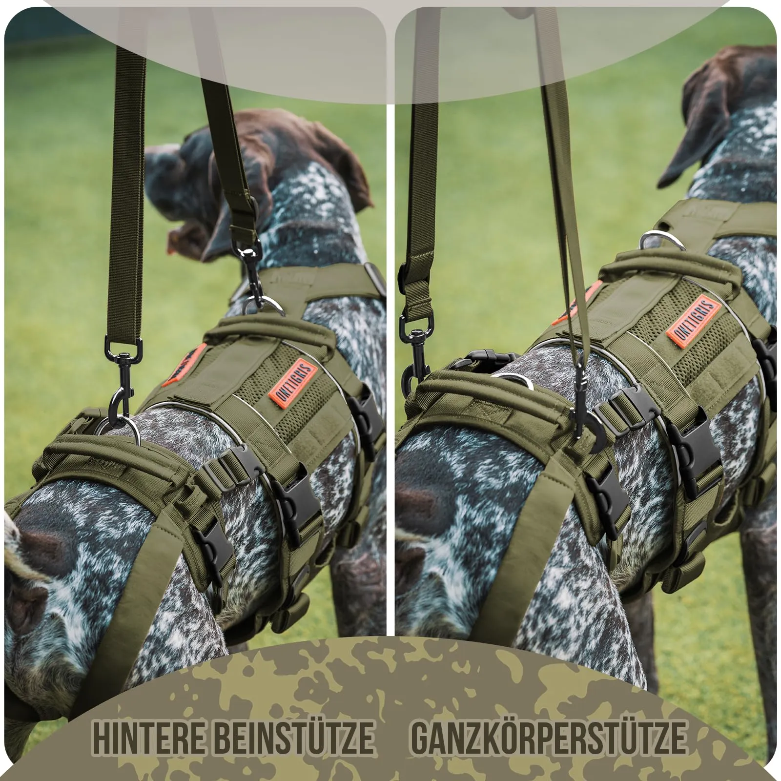 OneTigris SKYEWALKER - Imbracatura di sollevamento e supporto per cani, pettorina regolabile con 2 manici per supporto e riabilitazione, adatta per cani di taglia media e grande, verde, L - immagine 3