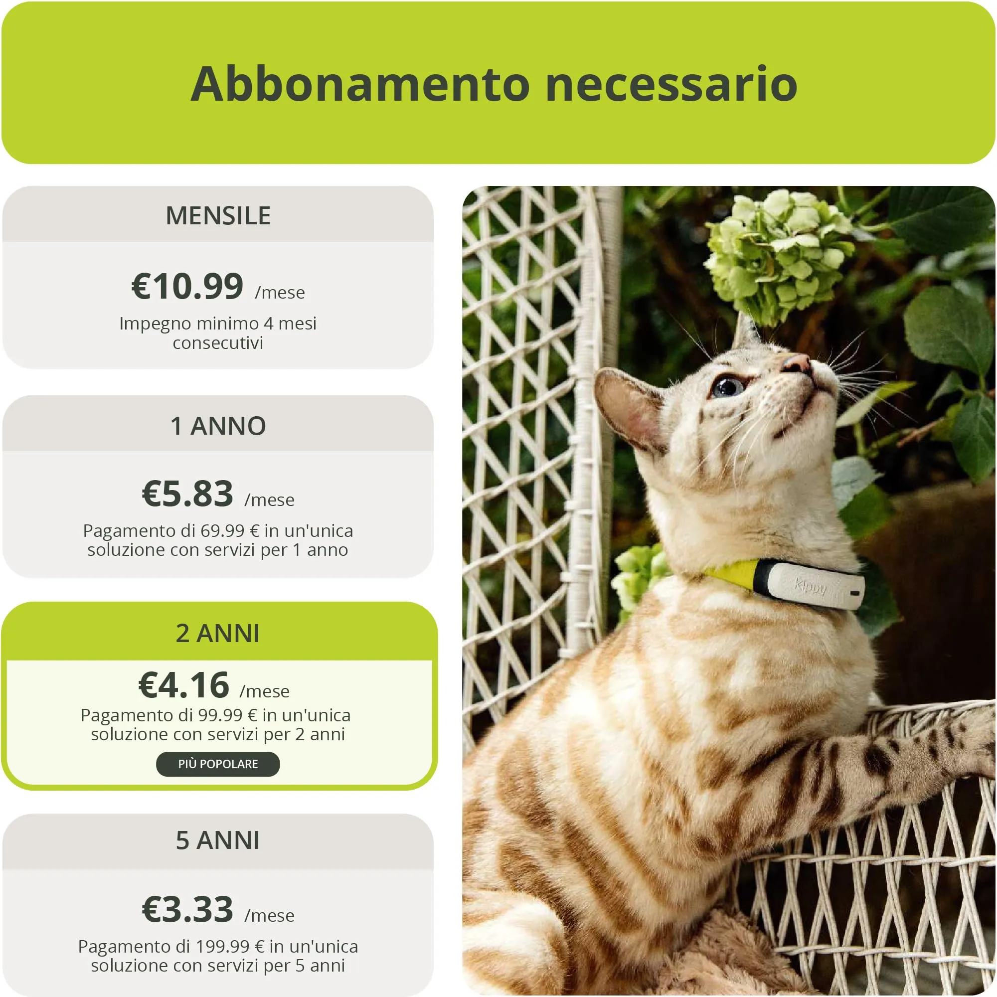 Kippy Cat V2 - Collare GPS per Gatti - Localizzatore e Tracker di Salute e Attività con Sistema Antistrozzo - Crea Confini Virtuali - immagine 7