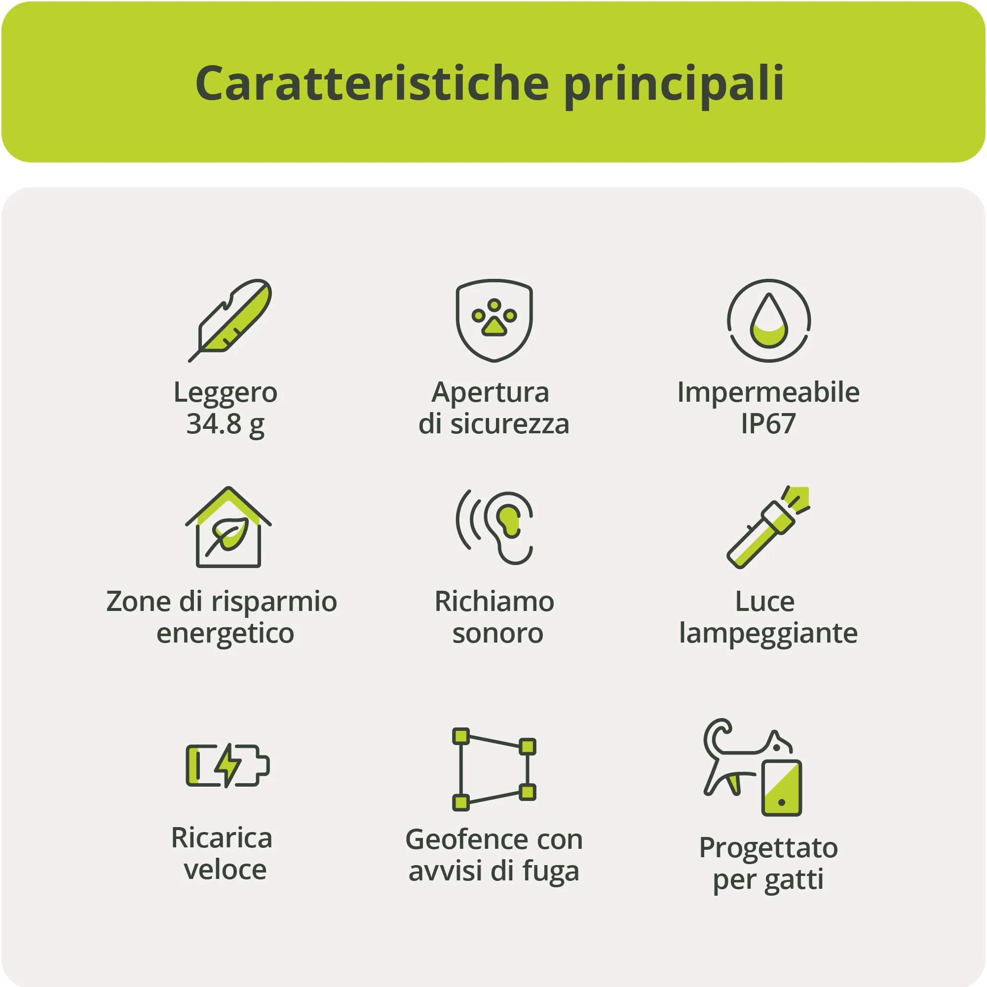 Kippy Cat V2 - Collare GPS per Gatti - Localizzatore e Tracker di Salute e Attività con Sistema Antistrozzo - Crea Confini Virtuali - immagine 8