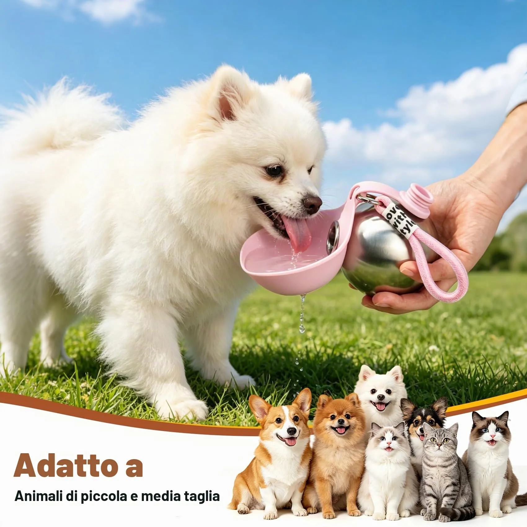 LTFIOON Borraccia per Cani Portatile, 285ml Bottiglia in Acciaio Inox per Cani, Borraccia Anti-perdite con Ciotola Pieghevole in Silicone, Borraccia da Viaggio per Dog per Passeggiate, Viaggi - immagine 6