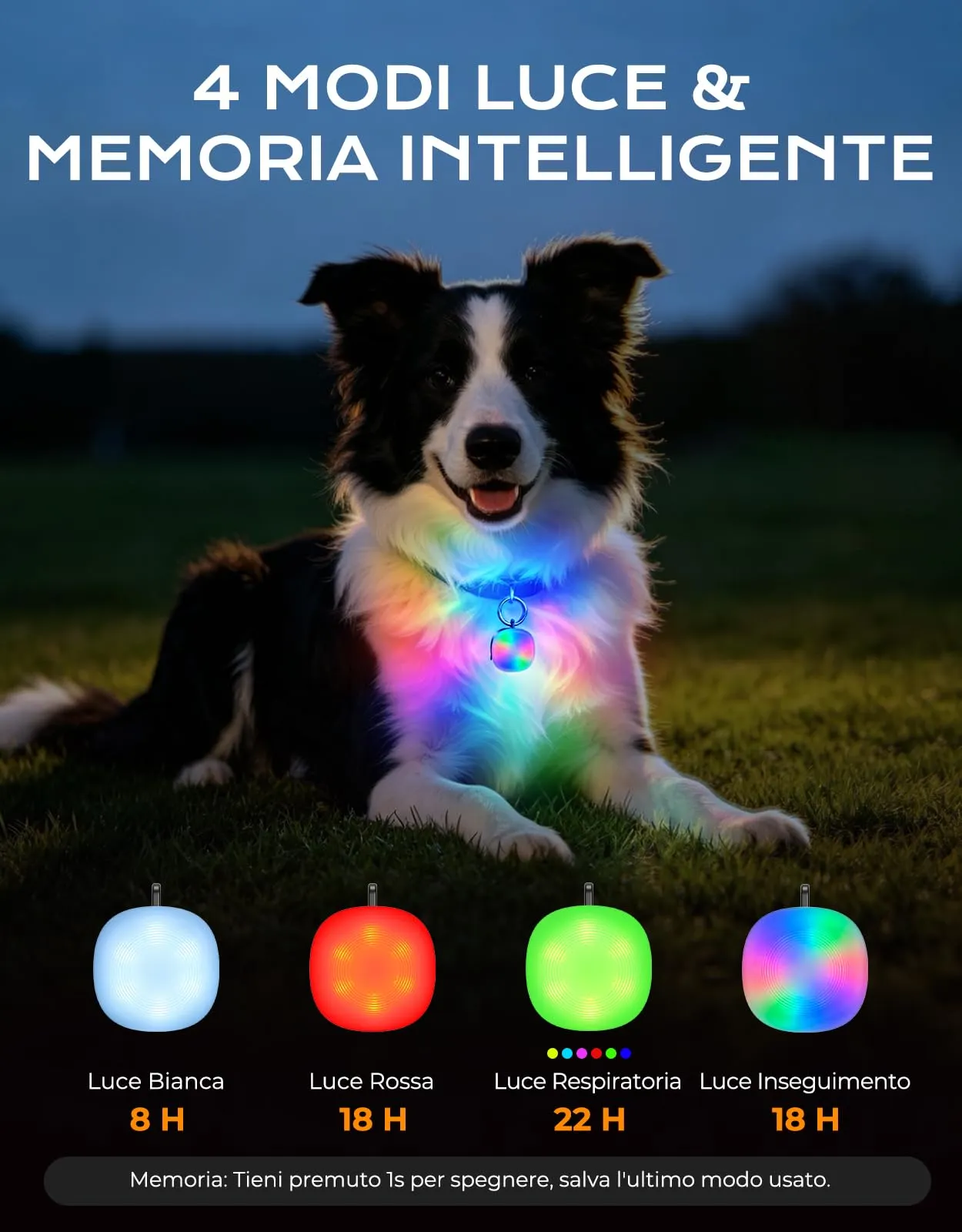 Rolgno 100LM Luci di Sicurezza, Luce Cane per Passeggiate Notturne Zaino - immagine 5