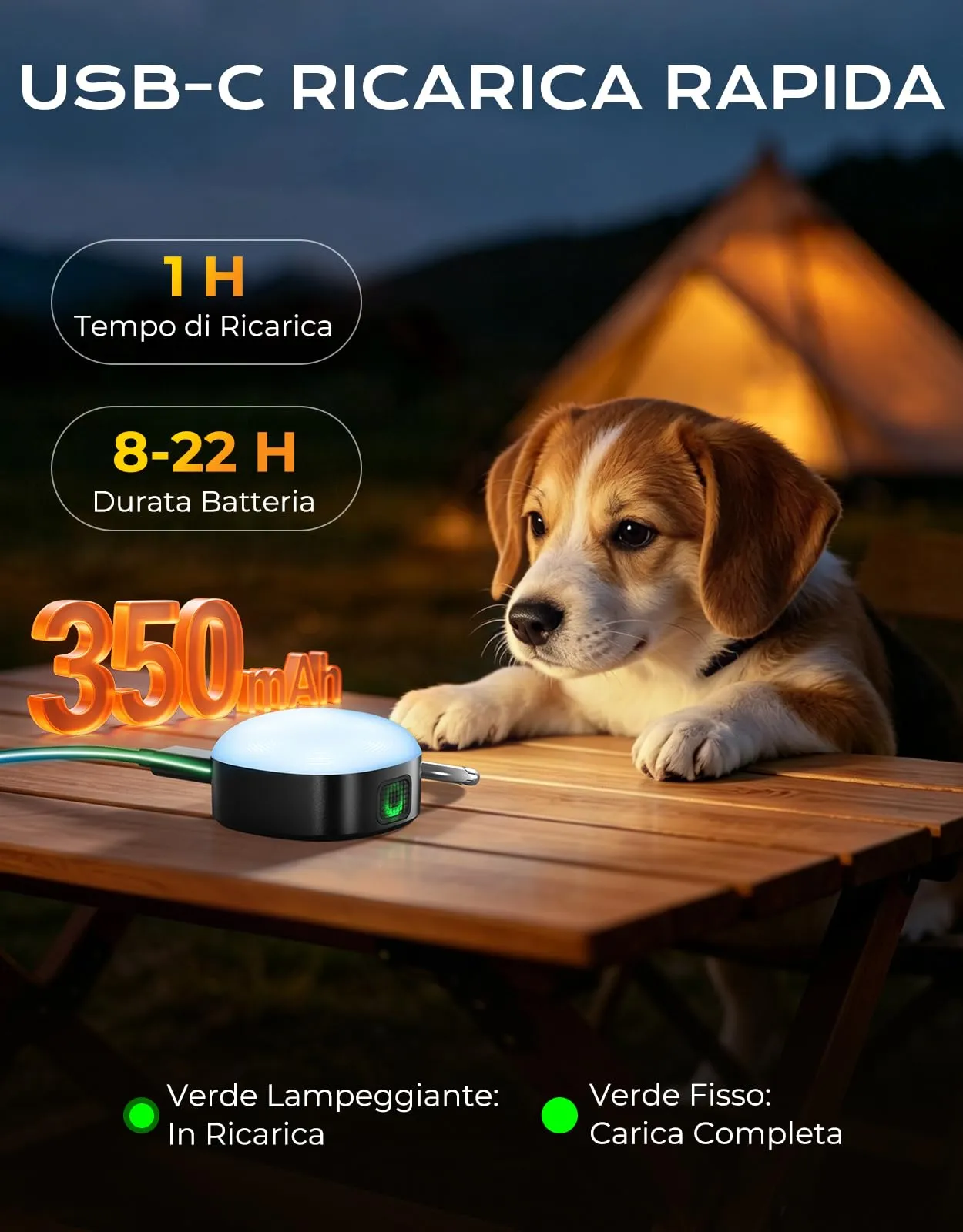 Rolgno 100LM Luci di Sicurezza, Luce Cane per Passeggiate Notturne Zaino - immagine 7