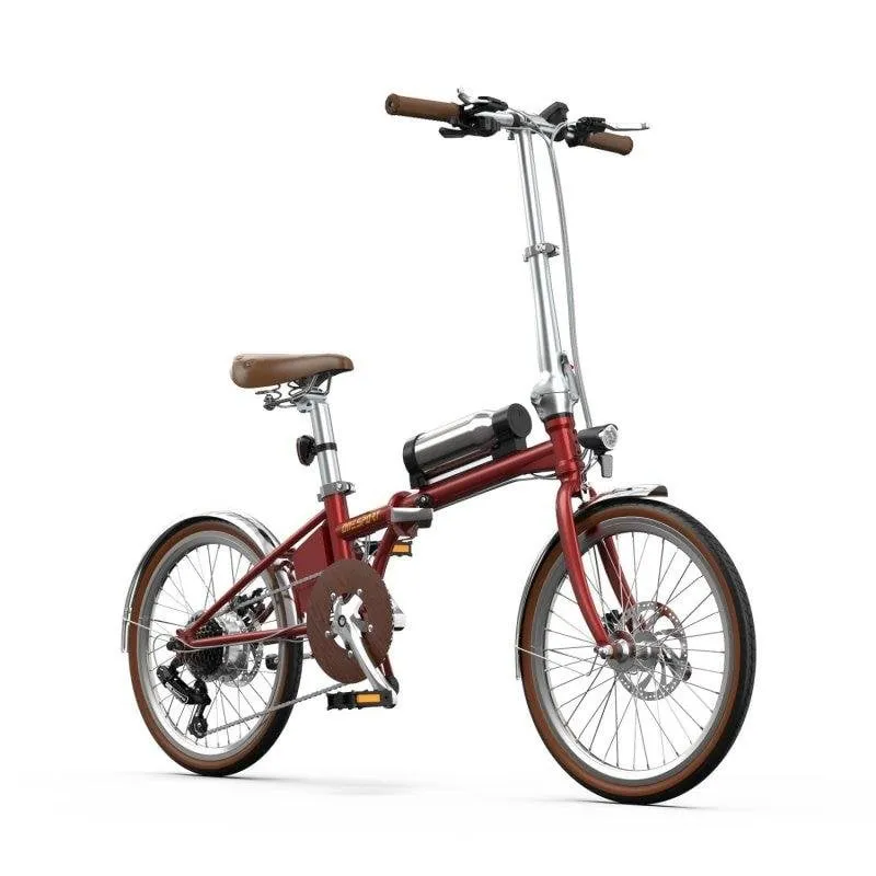 Bicicletta elettrica OneSport OT02 Pro 250W 36V 20" Rossa - immagine 1