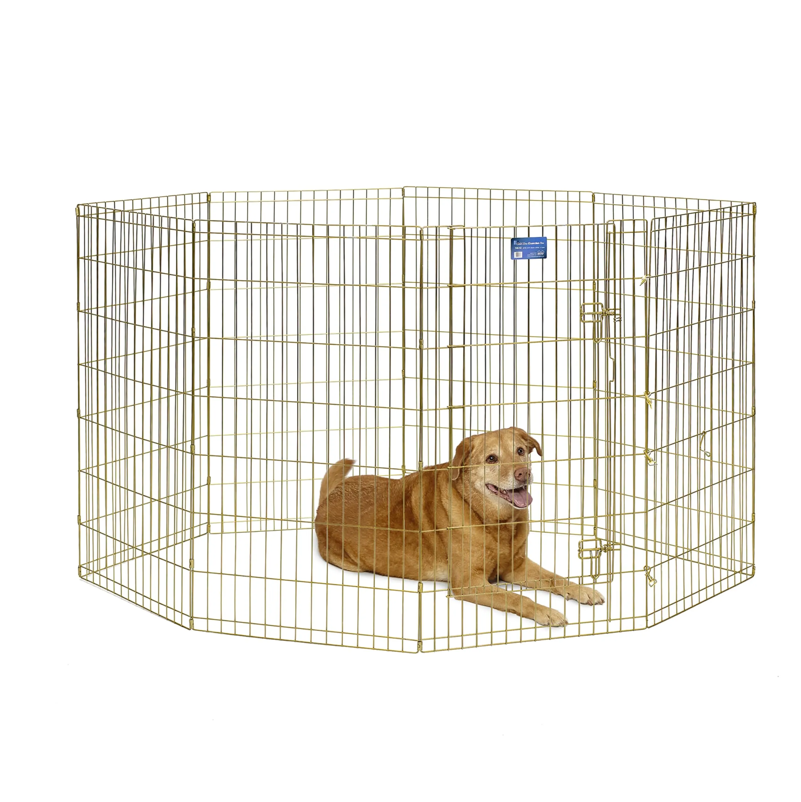 MidWest Homes for Pets 546-42, Recinto per animali in metallo, pieghevole, con porta e picchetti, offre 1,5 metri di spazio per giocare e muoversi, 106 cm di altezza, oro zinco - immagine 1