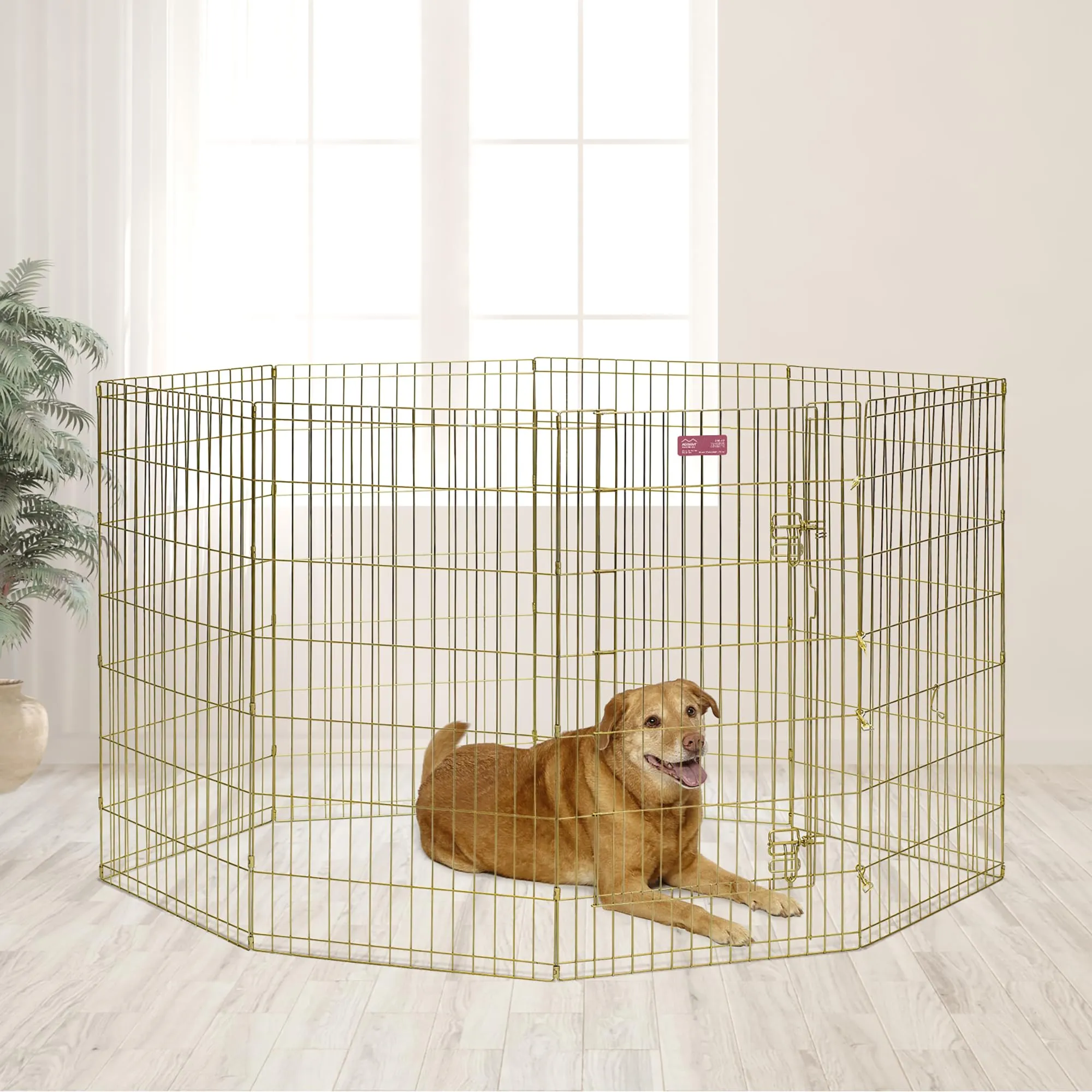 MidWest Homes for Pets 546-42, Recinto per animali in metallo, pieghevole, con porta e picchetti, offre 1,5 metri di spazio per giocare e muoversi, 106 cm di altezza, oro zinco - immagine 3