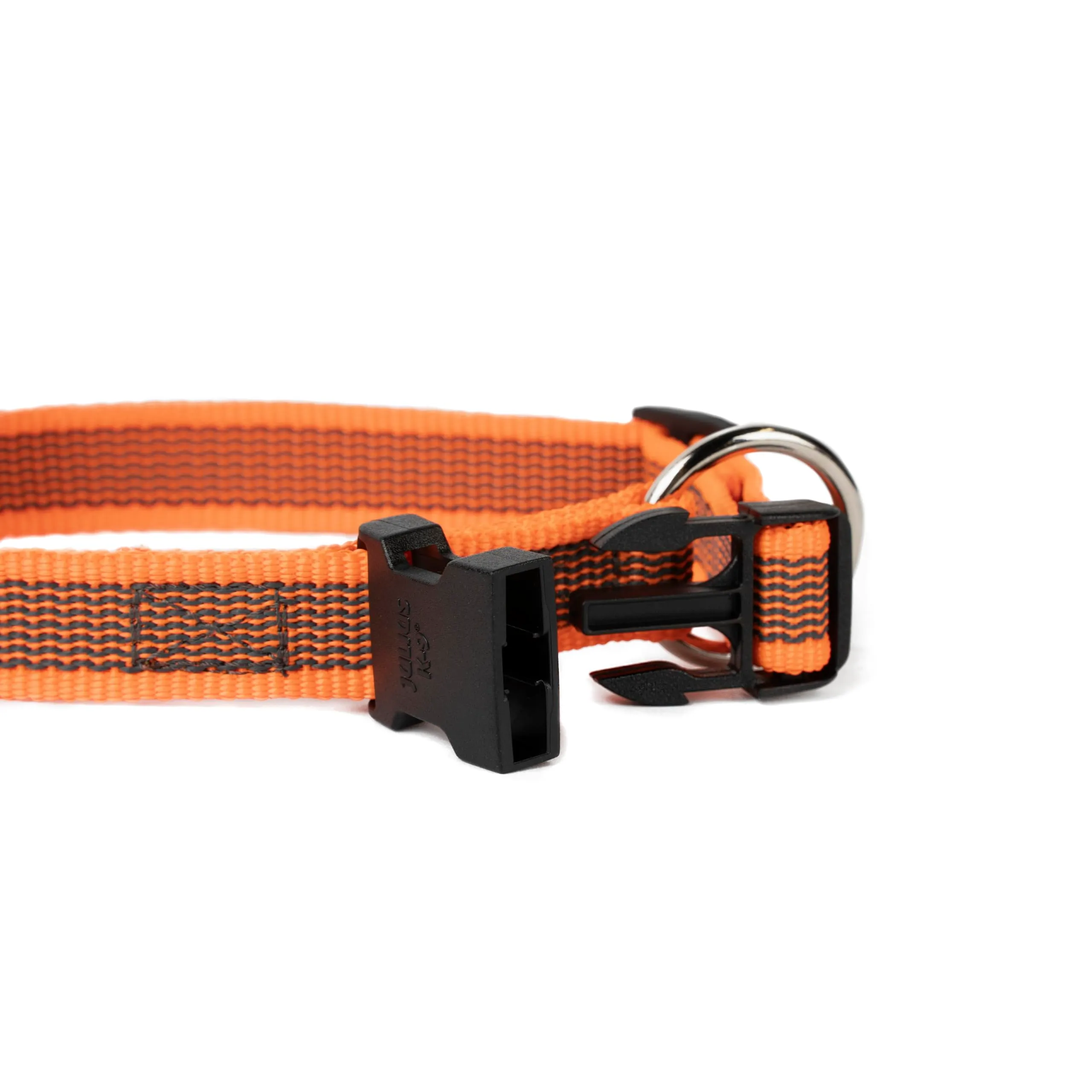 Julius-K9 Collare, Arancio-Grigio, 20 mm (27-42 cm) - immagine 4