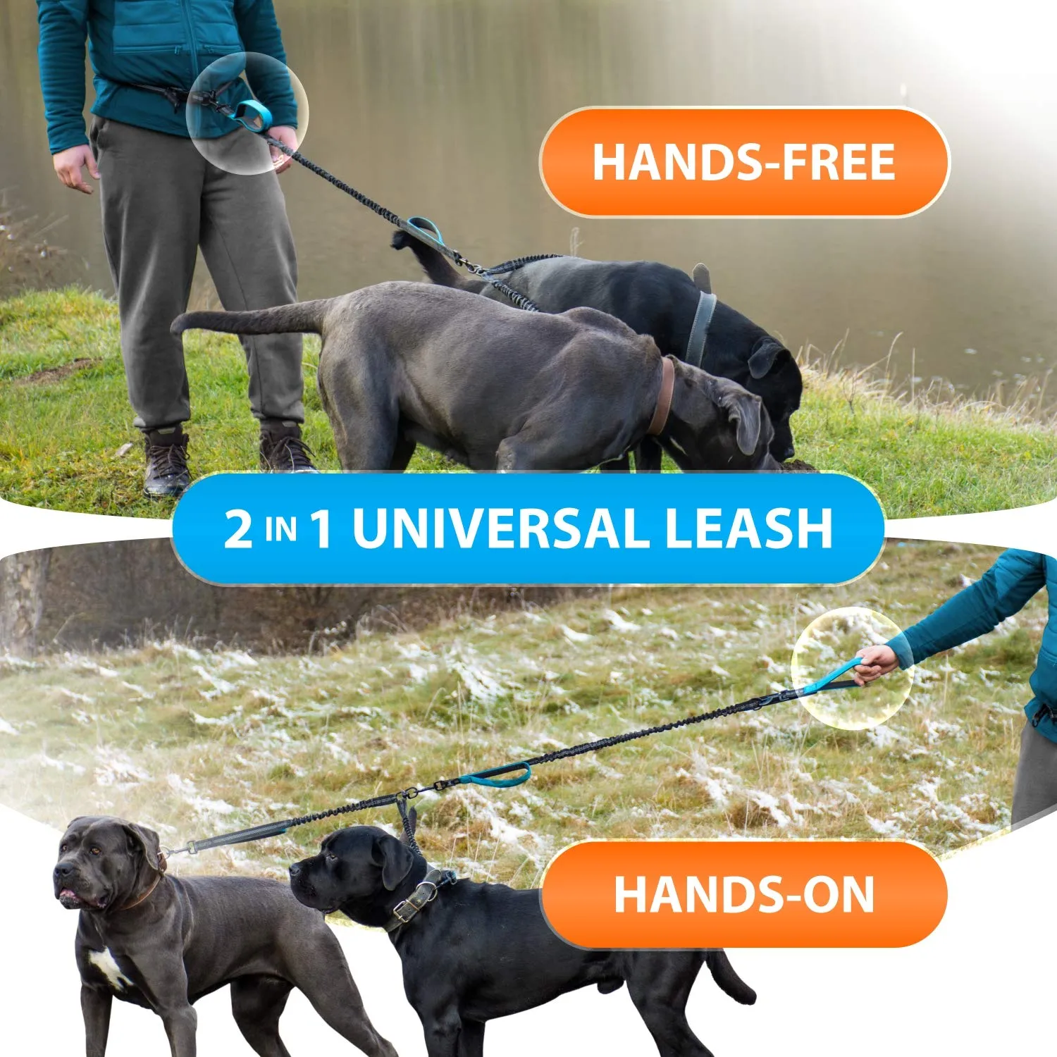 Guinzaglio Doppio Mani Libere per Cani di Taglia Media e Grande - per Correre, Addestrare, Camminare e Fare Jogging (Blu, per 2 Cani) - immagine 6