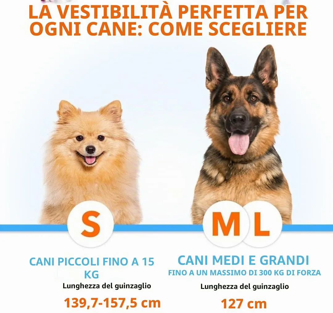 Guinzaglio Doppio Mani Libere per Cani di Taglia Media e Grande - per Correre, Addestrare, Camminare e Fare Jogging (Grigio, per 2 Cani) - immagine 3