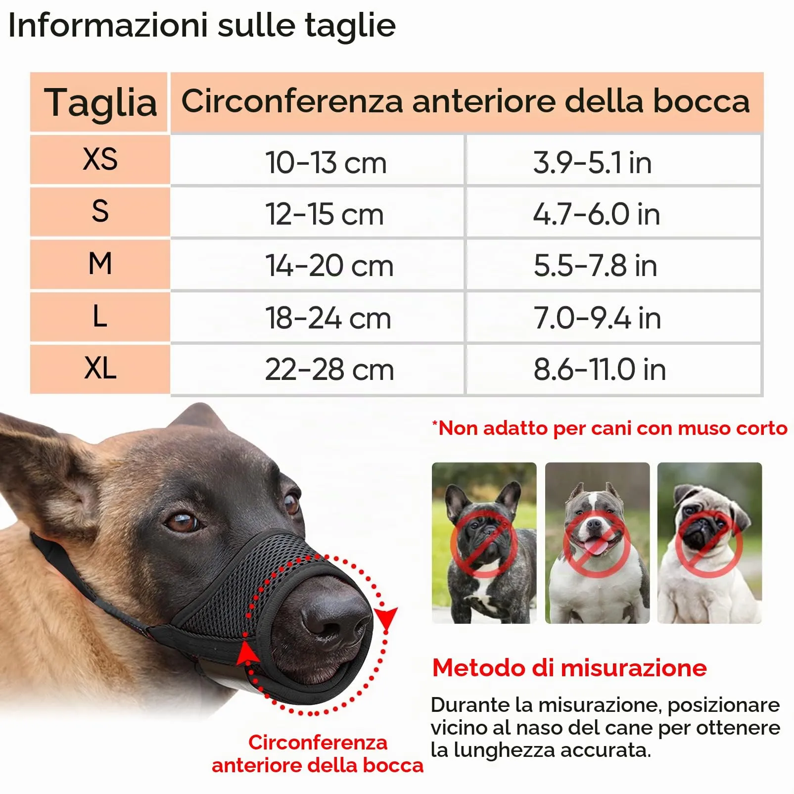 HEELE Museruola Cane Museruola per Cane Regolabile Contro Morsi e Rosicchio Antiabbaio Museruole Morbido Rete Traspirante Nero M - immagine 2