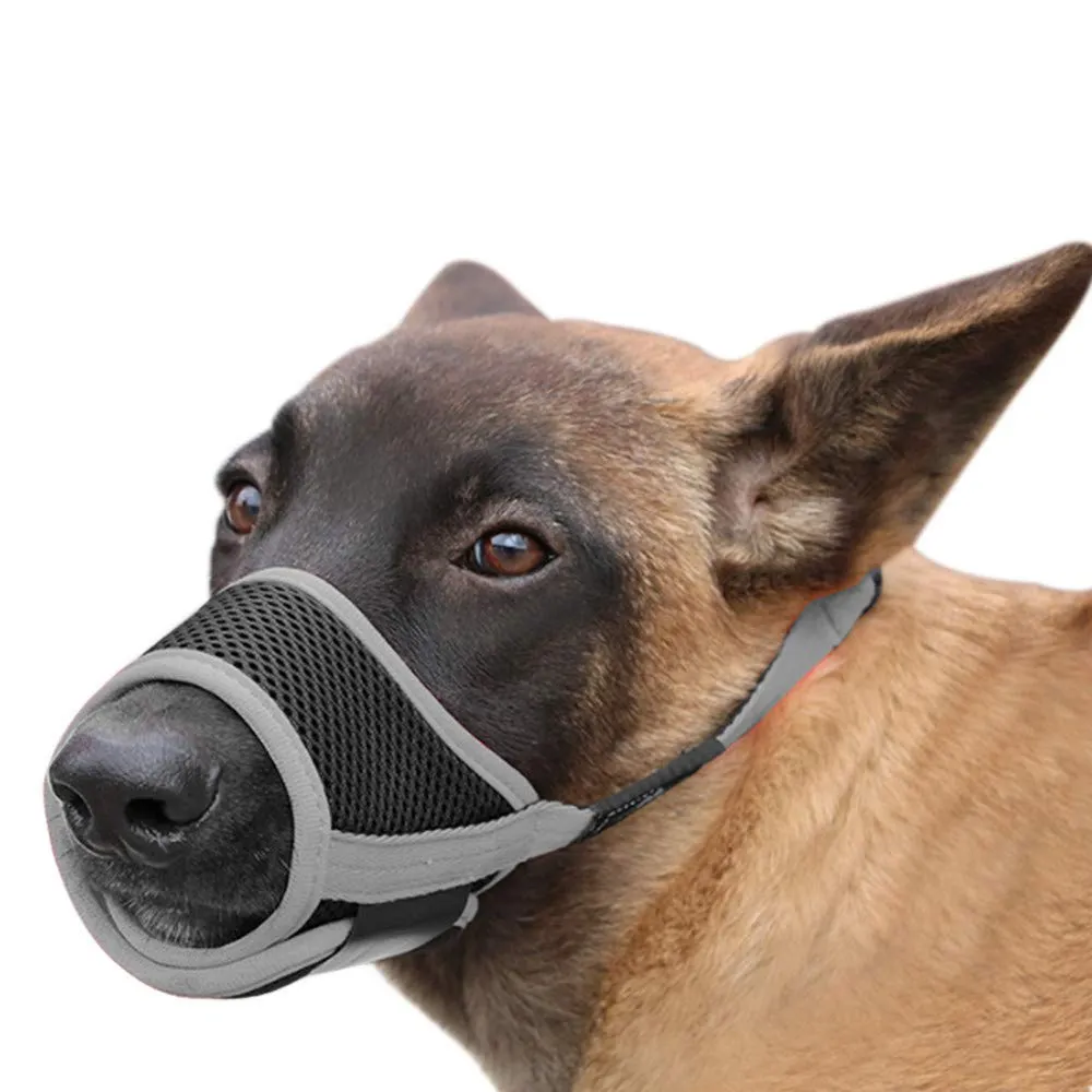 HEELE Museruola Cane Museruola per Cane Regolabile Contro Morsi e Rosicchio Antiabbaio Museruole Morbido Rete Traspirante Grigio XL - immagine 5