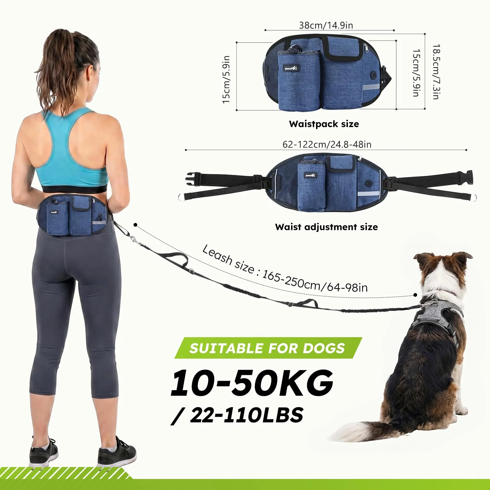 Pecute Guinzaglio per Cani, Guinzaglio Regolabile da Corsa Mani Libere Due Maniglie alle estremità Le Cuciture Sono Riflettenti al Buio Garantisce la Camminata Sicura di Notte,Blu, L - immagine 8