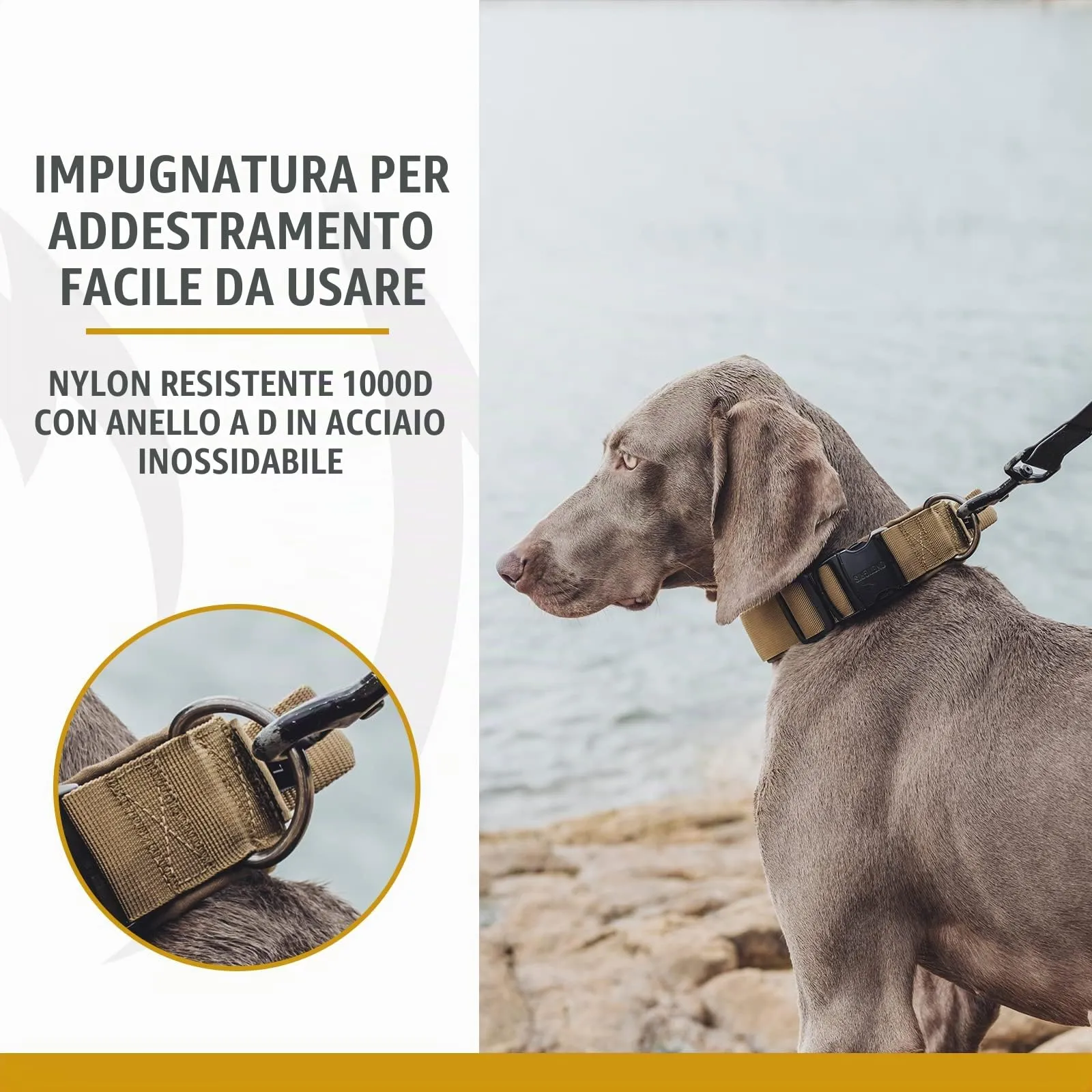 OneTigris Collare per cani con fibbia in metallo per cani (Marrone, M) - immagine 5