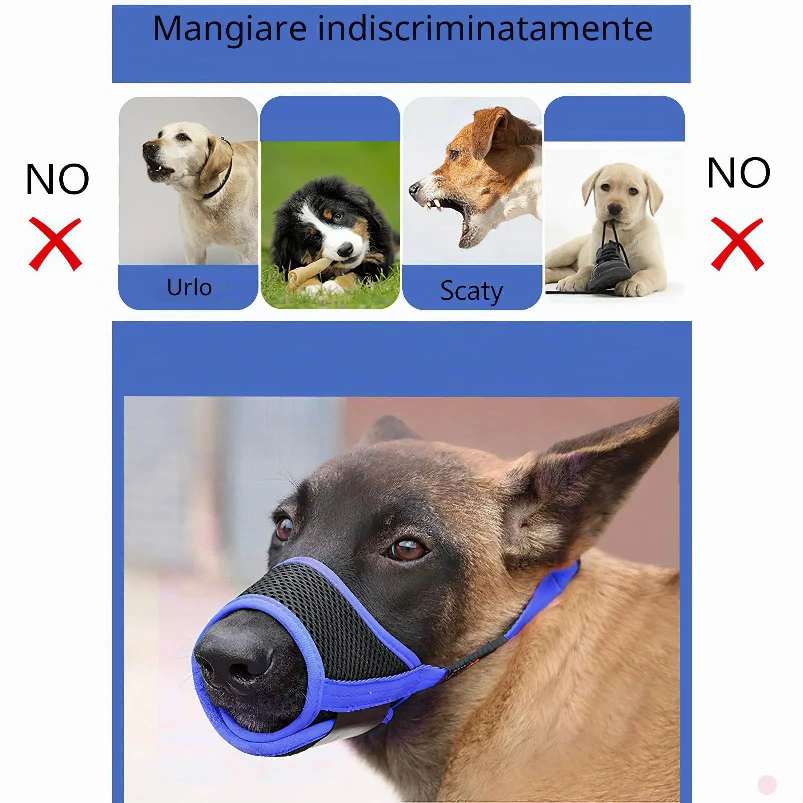 HEELE Museruola Cane Regolabile Contro Morsi Rosicchio Antiabbaio, Blu, L - immagine 4