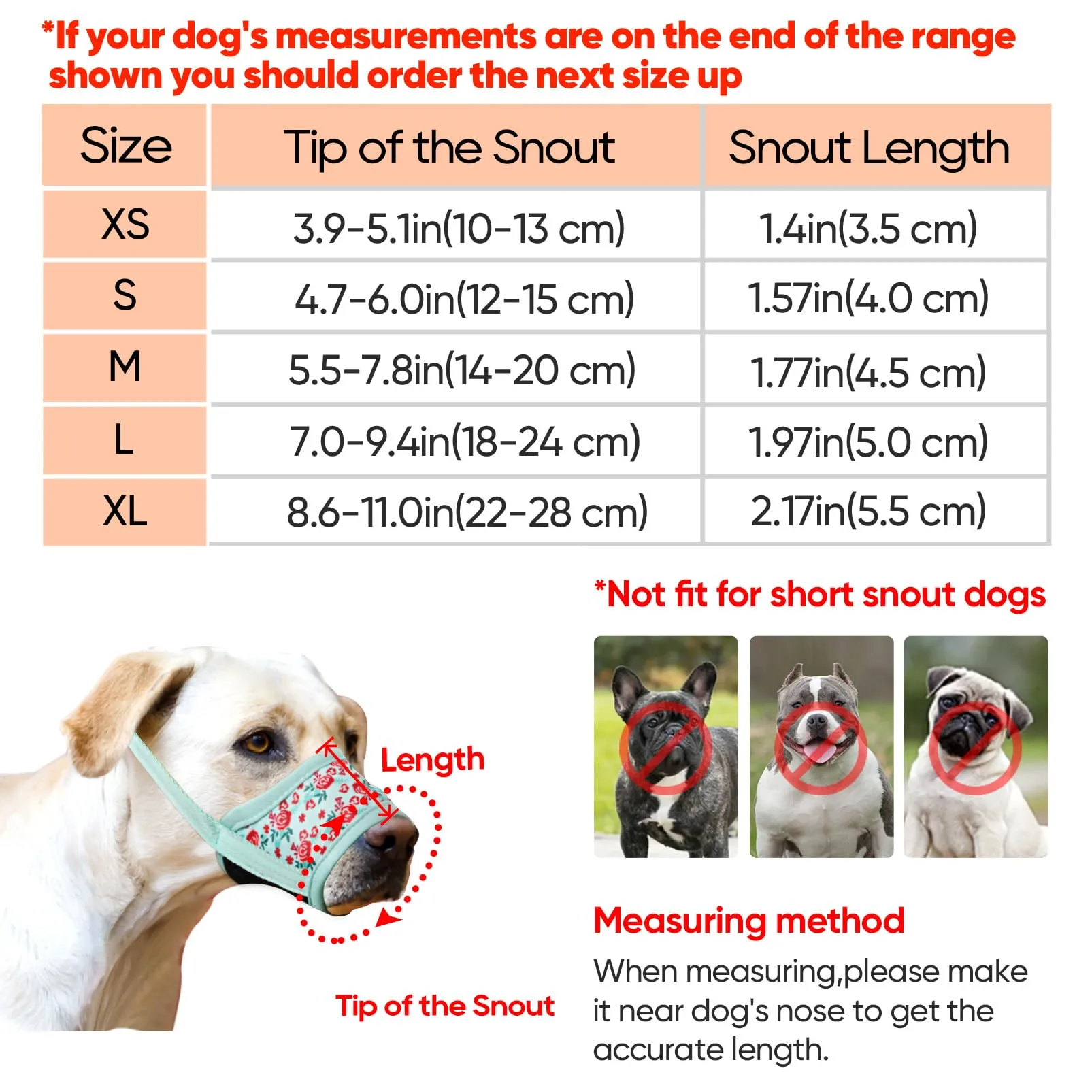 HEELE Museruola per Cane, Museruola Cane Piccola Taglia, in Morbido Nylon con Motivo Stampato, Antiabbaio e Antimorso, Regolabile, Fiore Ciano, S - immagine 2