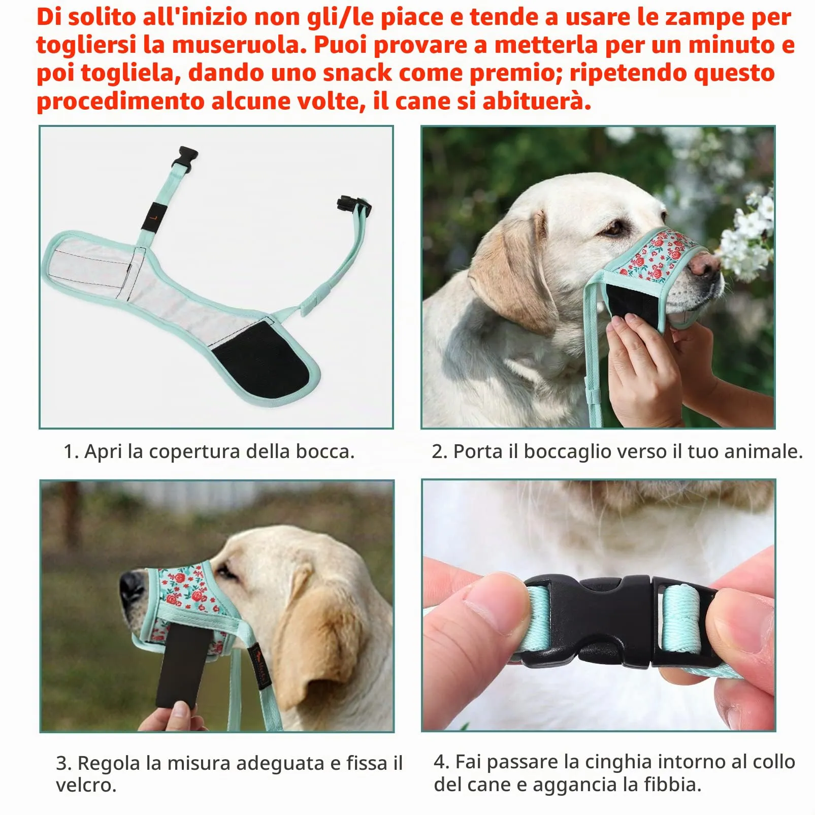 HEELE Museruola per Cane, Museruola Cane Piccola Taglia, in Morbido Nylon con Motivo Stampato, Antiabbaio e Antimorso, Regolabile, Fiore Ciano, S - immagine 3