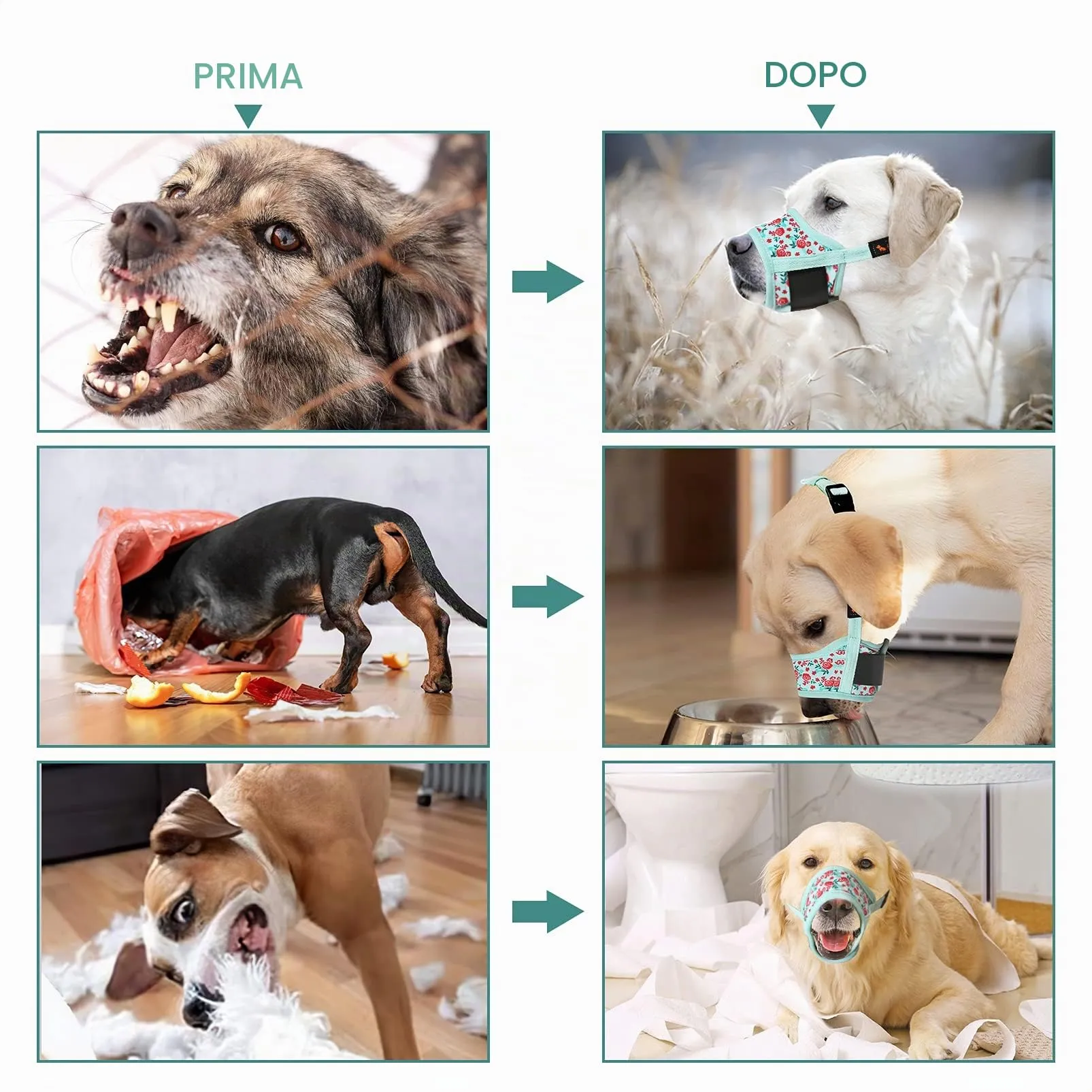 HEELE Museruola per Cane, Museruola Cane Piccola Taglia, in Morbido Nylon con Motivo Stampato, Antiabbaio e Antimorso, Regolabile, Fiore Ciano, S - immagine 6