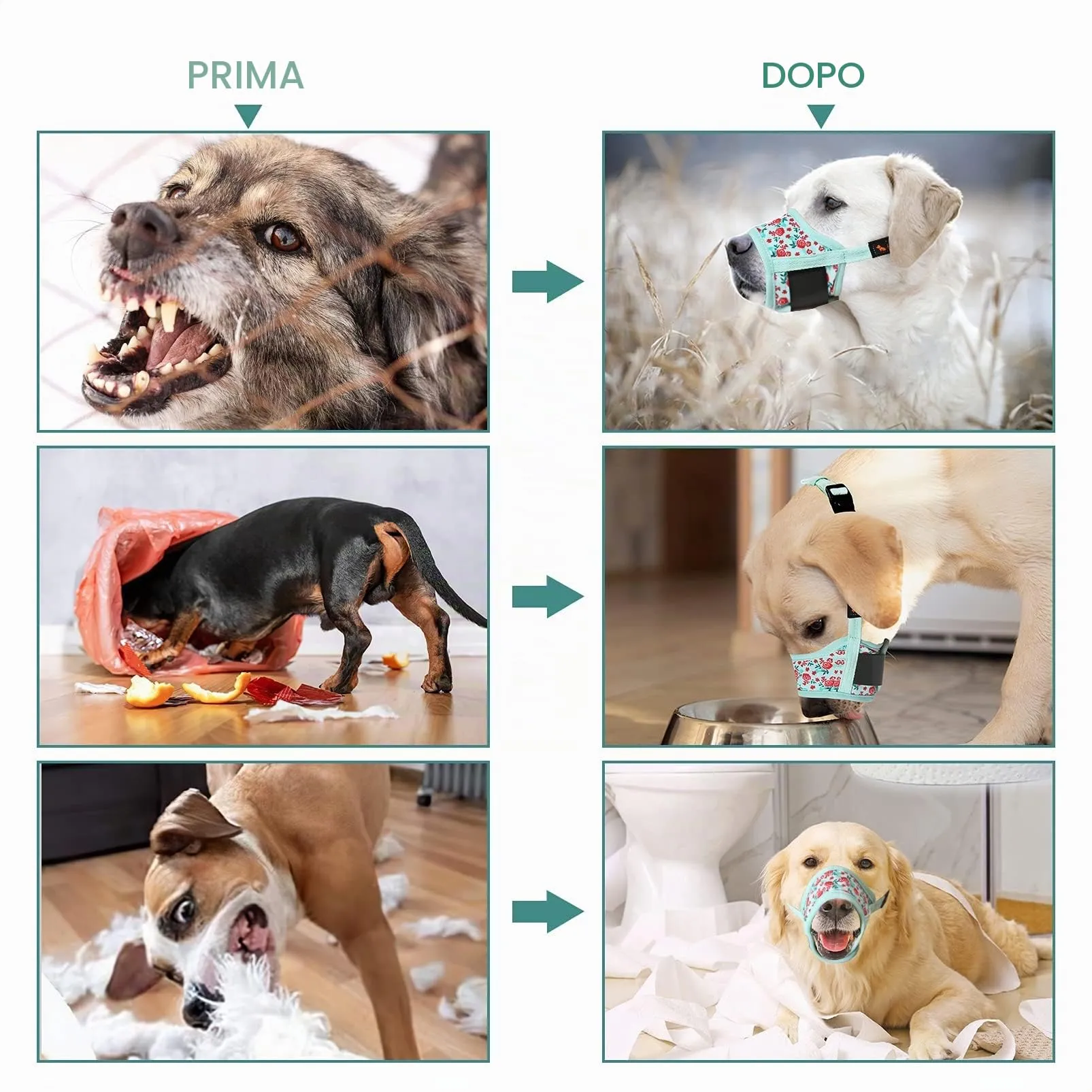 HEELE Museruola per Cane, Museruola Cane Piccola Taglia, in Morbido Nylon con Motivo Stampato, Antiabbaio e Antimorso, Regolabile, Fiore Ciano, XS - immagine 6