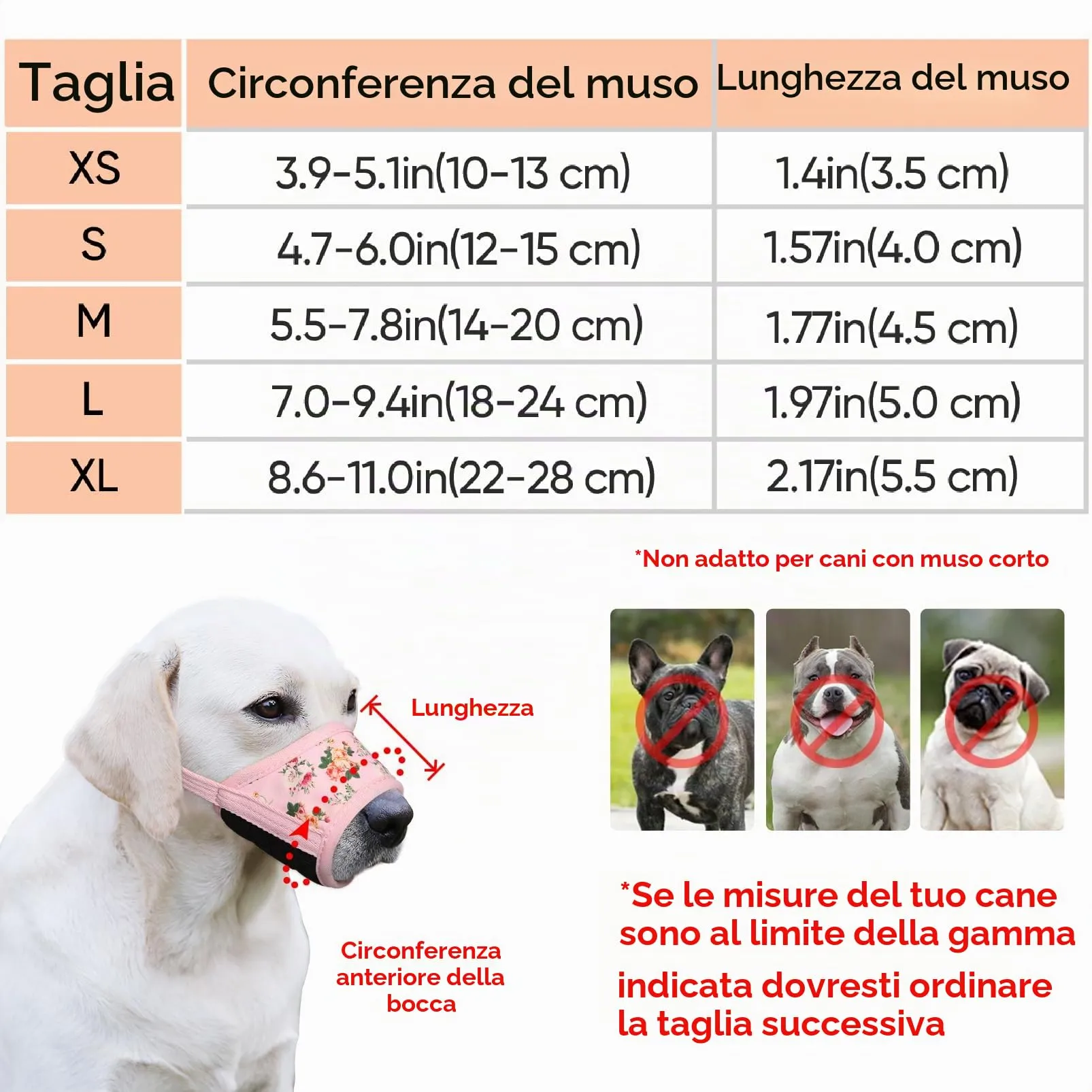 HEELE Museruola per Cane, Museruola Cane Piccola Taglia, in Morbido Nylon con Motivo Stampato, Antiabbaio e Antimorso, Regolabile, Fiore Rosa, XS - immagine 3