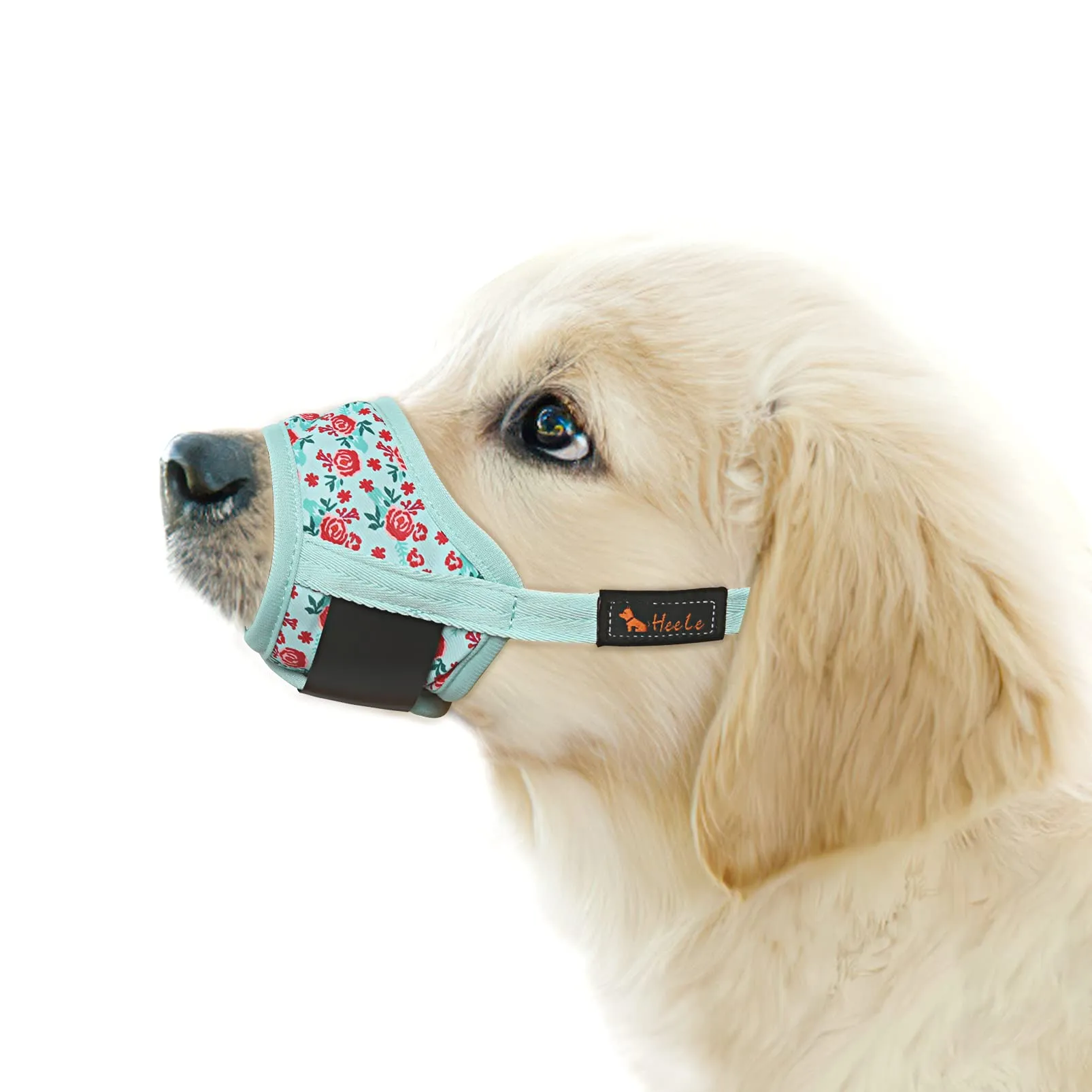 HEELE Museruola per Cane, Museruola Cane Taglia Media, in Morbido Nylon con Motivo Stampato, Antiabbaio e Antimorso, Regolabile, Fiore Ciano, M - immagine 1