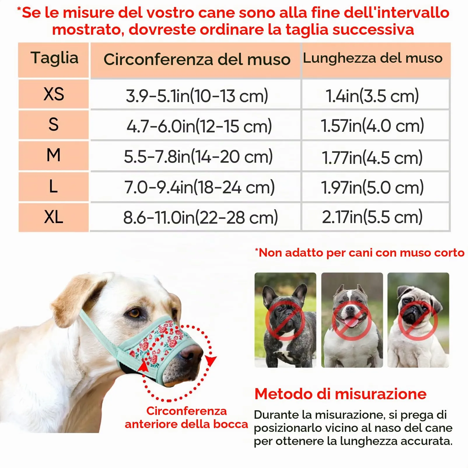 HEELE Museruola per Cane, Museruola Cane Taglia Media, in Morbido Nylon con Motivo Stampato, Antiabbaio e Antimorso, Regolabile, Fiore Ciano, M - immagine 3