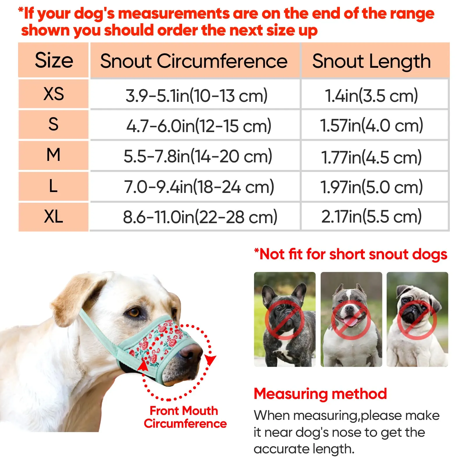HEELE Museruola per Cane, Museruola Cane Taglia Media e Grande, in Morbido Nylon con Motivo Stampato, Antiabbaio e Antimorso, Regolabile, Fiore Ciano, L - immagine 3
