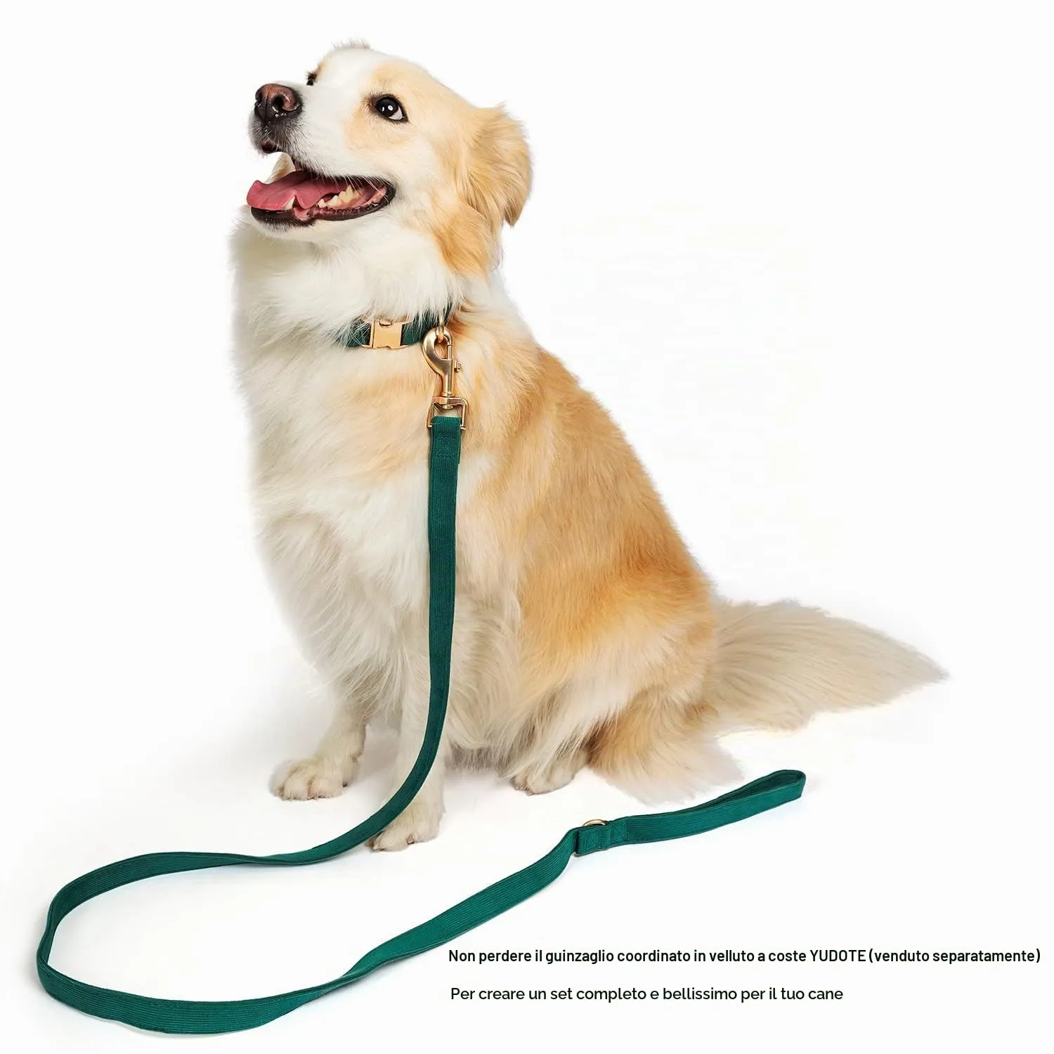 YUDOTE Collare per cani ultra morbido in cotone naturale per cani di piccola taglia con pelle sensibile,verde - immagine 4