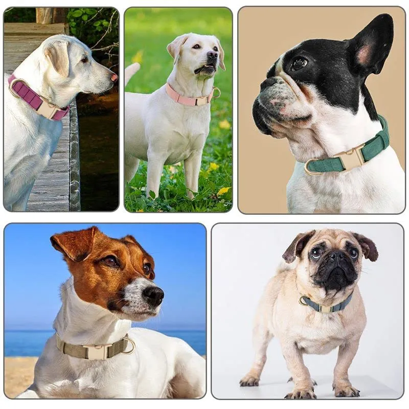 YUDOTE Collare per cani ultra morbido in velluto a coste di cotone naturale realizzato per cani di taglia media con pelle sensibile, blu-grigio - immagine 4