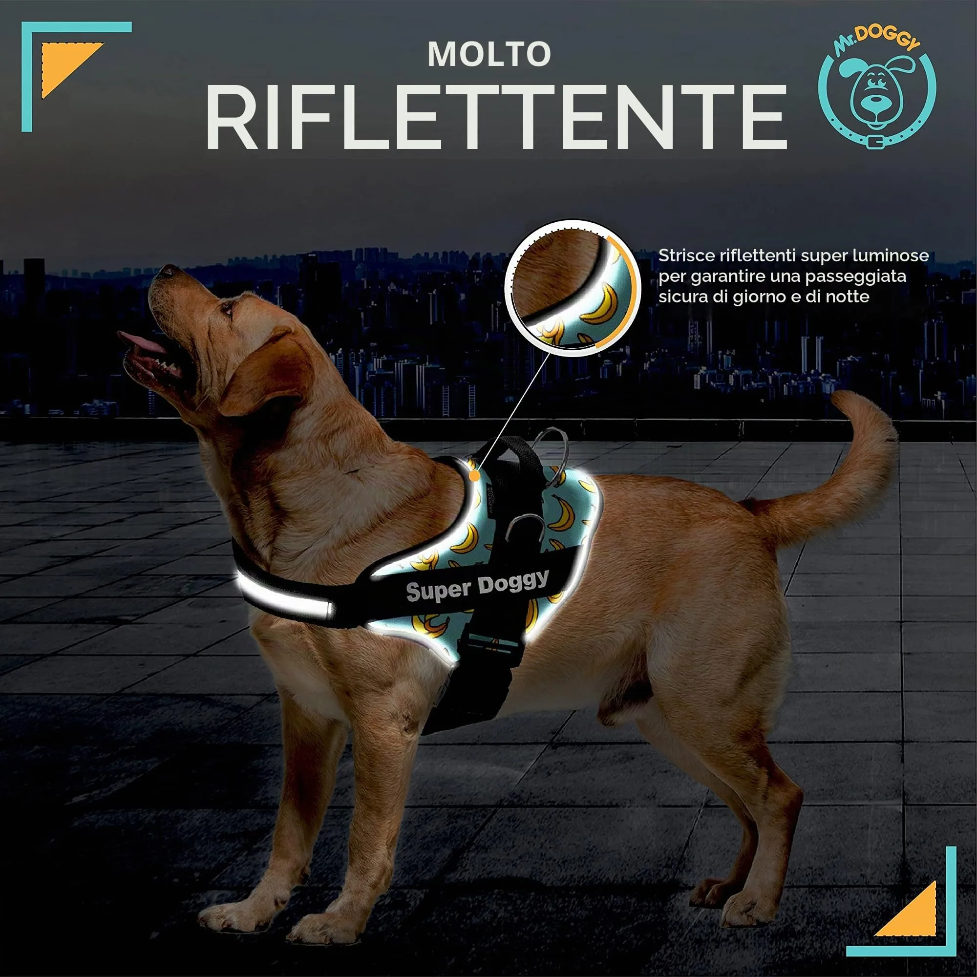 SUPER DOGGY Pettorina Cane Personalizzata con Nome – Antitrazione, Riflettente e Regolabile – Include 2 Targhette Velcro - Taglia Piccola, Media e Grande (XS 3-7KG, Blue Banana) - immagine 4