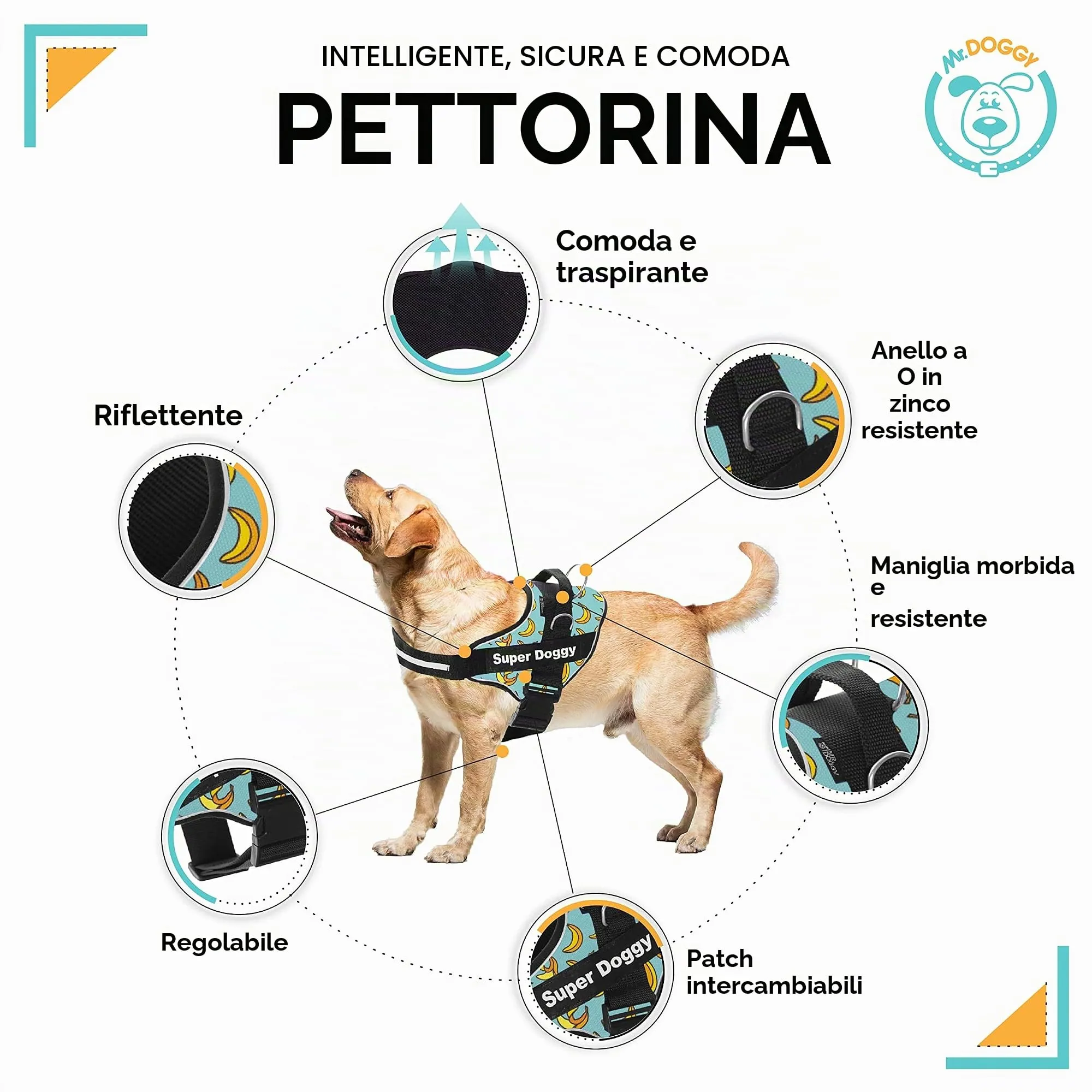 SUPER DOGGY Pettorina Cane Personalizzata con Nome – Antitrazione, Riflettente e Regolabile – Include 2 Targhette Velcro - Taglia Piccola, Media e Grande (Blue Banana, XXS 1,5-3,5KG) - immagine 2