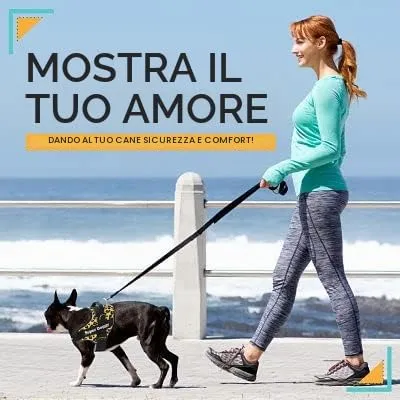 SUPER DOGGY Pettorina Cane Personalizzata con Nome – Antitrazione, Riflettente e Regolabile – Include 2 Targhette Velcro - Taglia Piccola, Media e Grande (XL 30-45KG, Leopard) - immagine 5