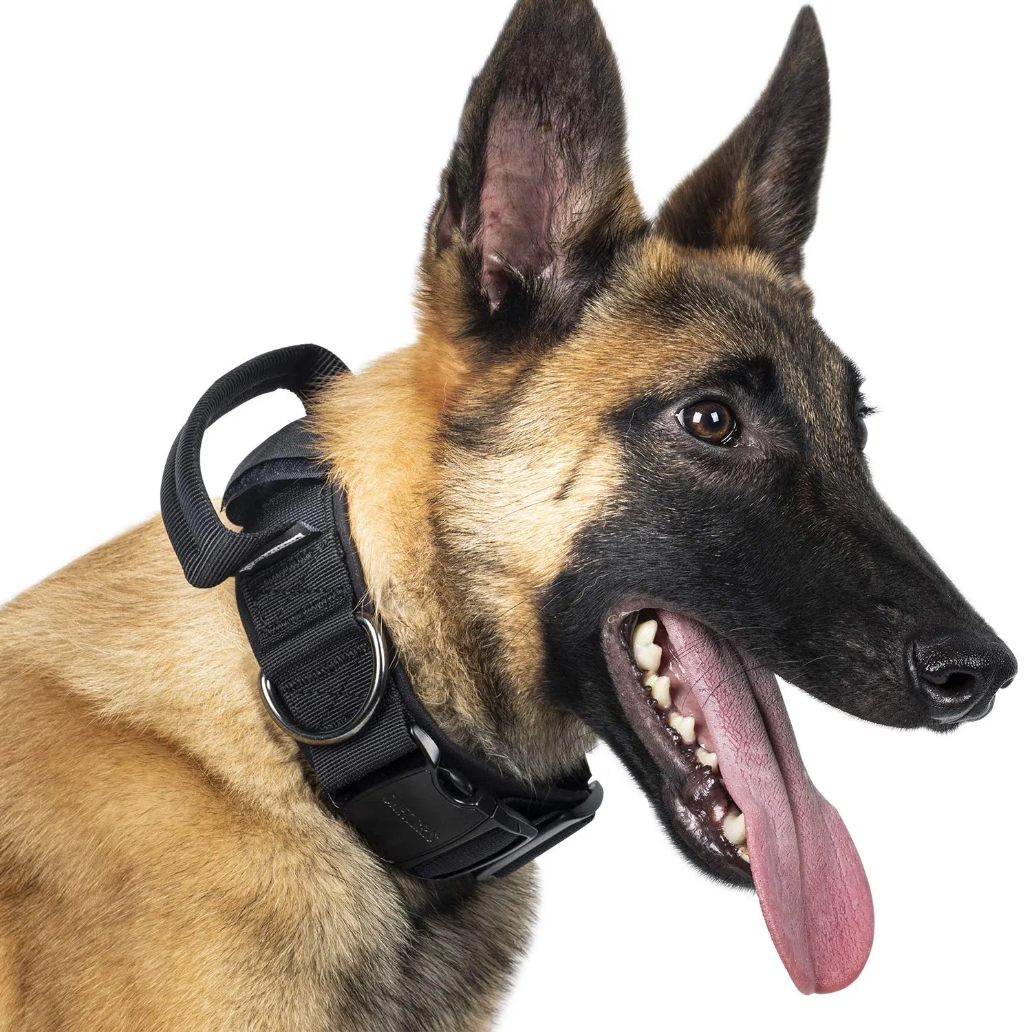OneTigris Collare per cani con fibbia in metallo per cani (Nero, XL) - immagine 1