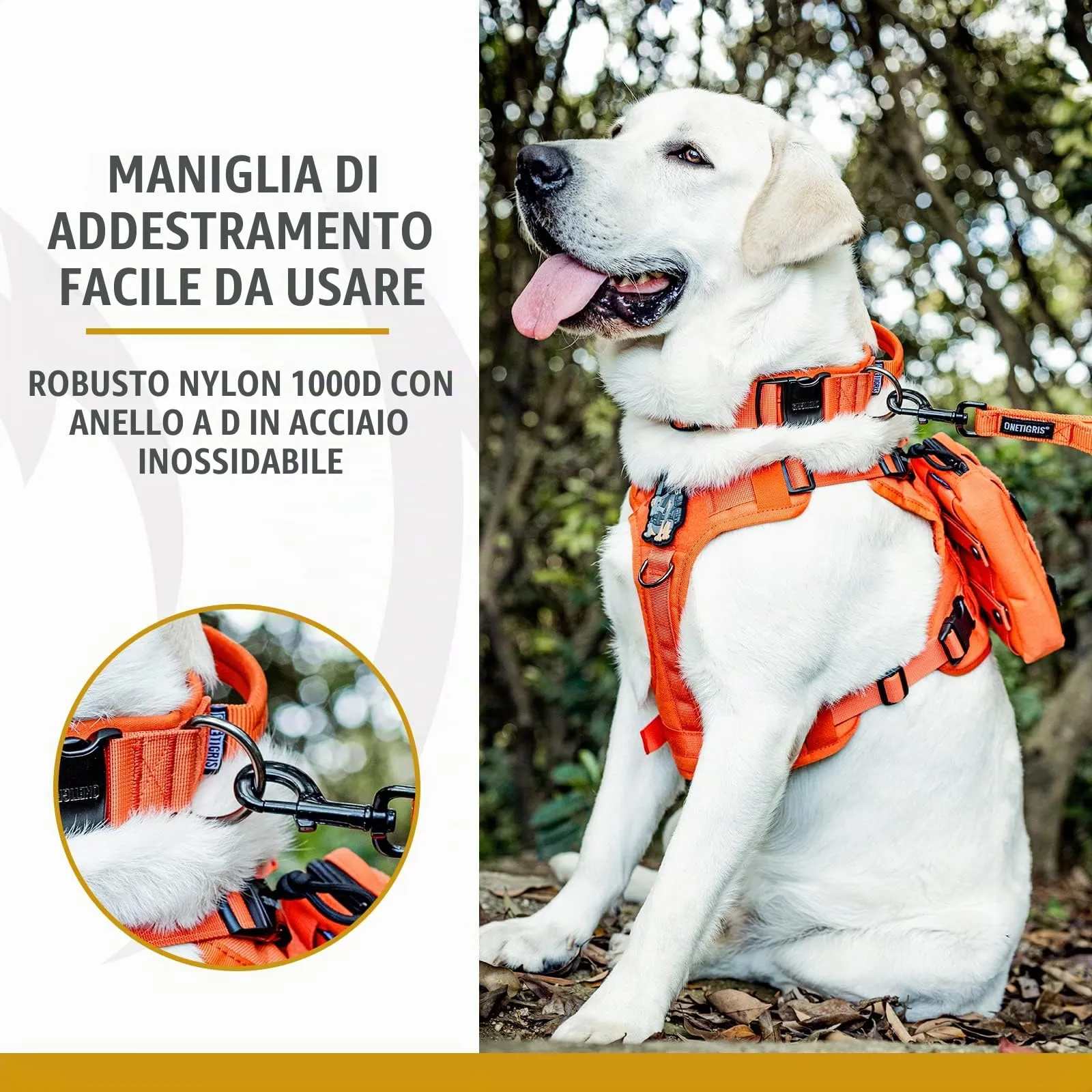 OneTigris Collare per cani con fibbia in metallo per cani (Arancione, M) - immagine 5