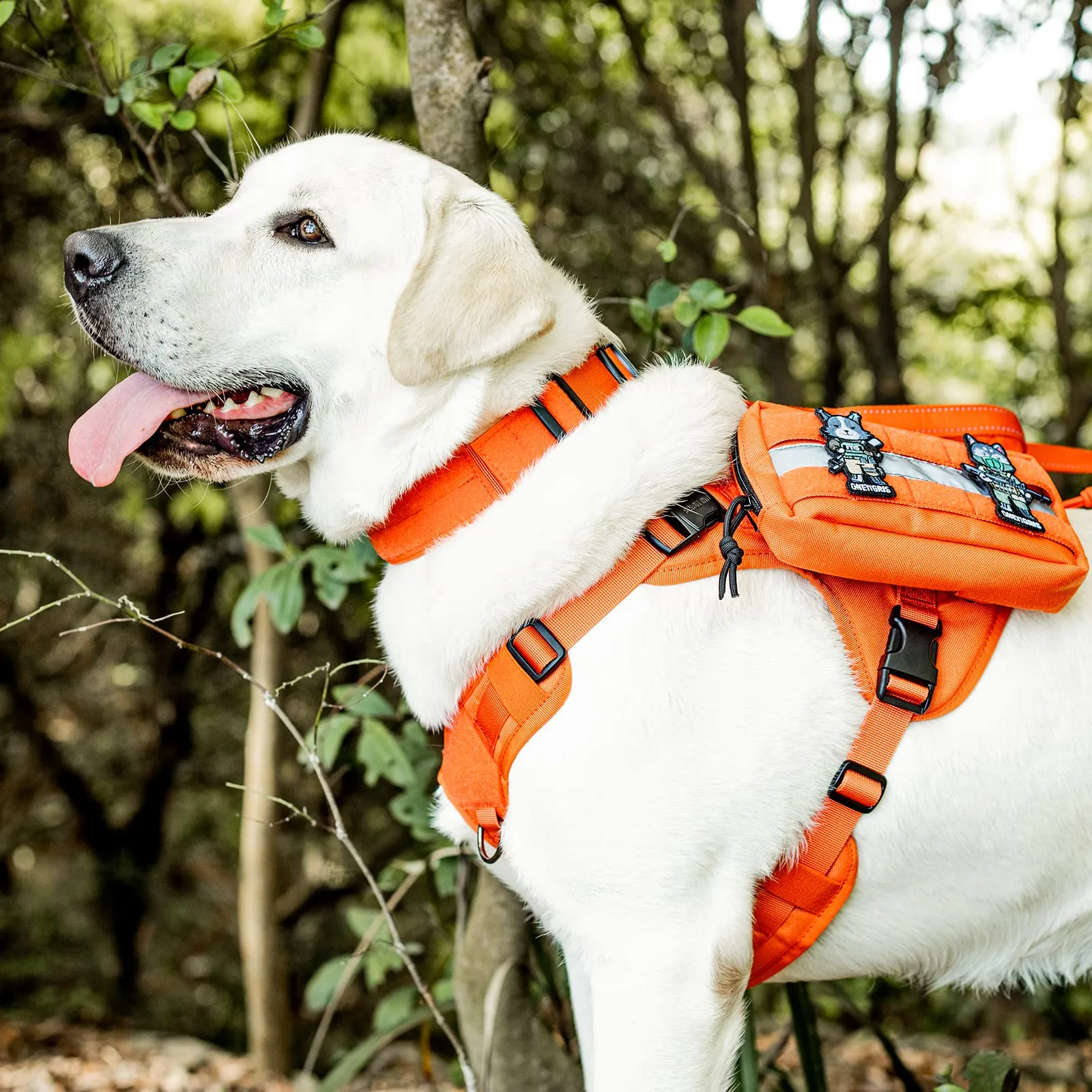 OneTigris Collare per cani con fibbia in metallo per cani (Arancione, M) - immagine 7