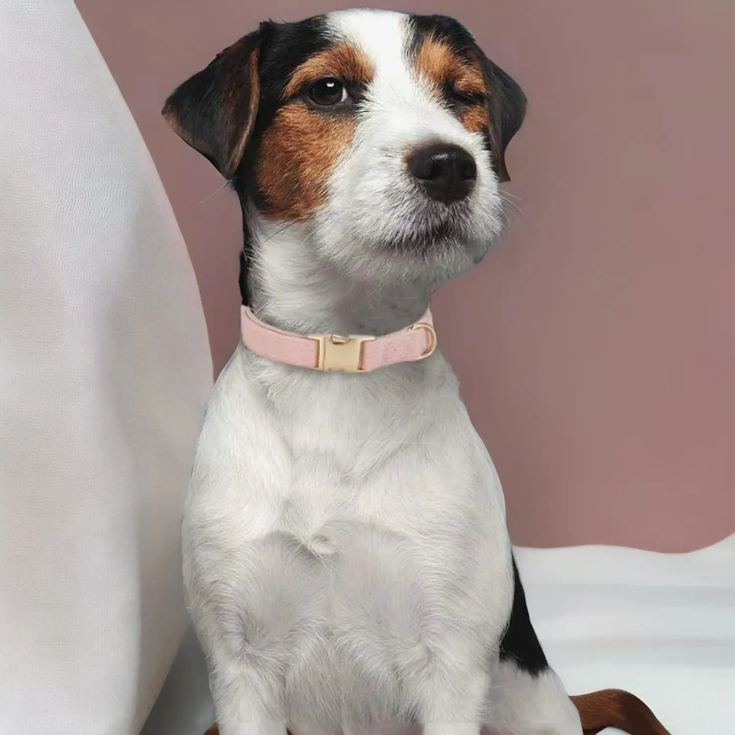 YUDOTE Collare per cani ultra morbido in velluto a coste di cotone naturale realizzato per cani di taglia media con pelle sensibile, rosa antico - immagine 2