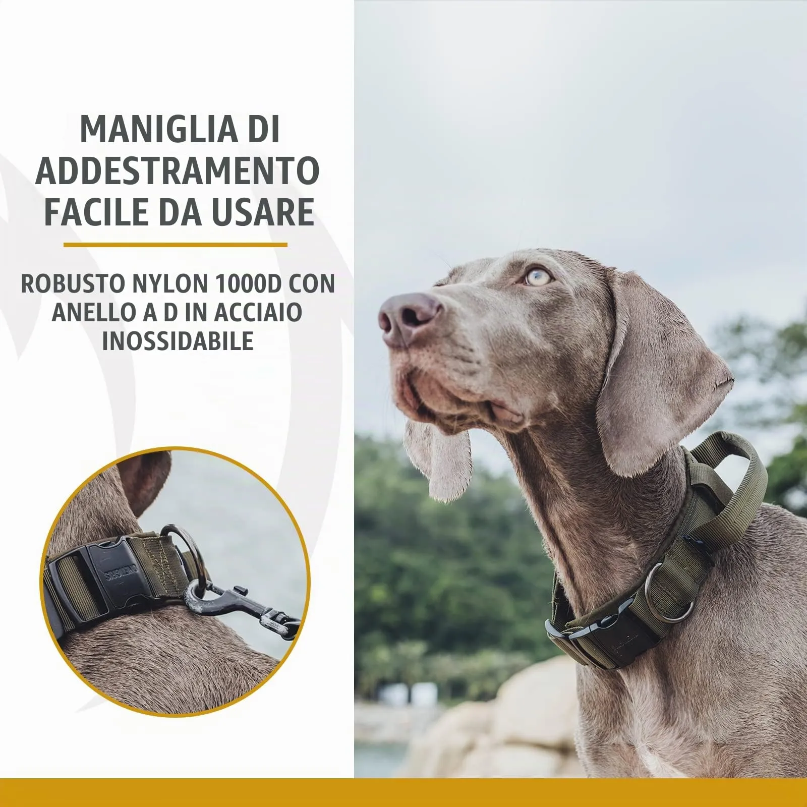 OneTigris Collare per cani con fibbia in metallo per cani (Verde, L) - immagine 5