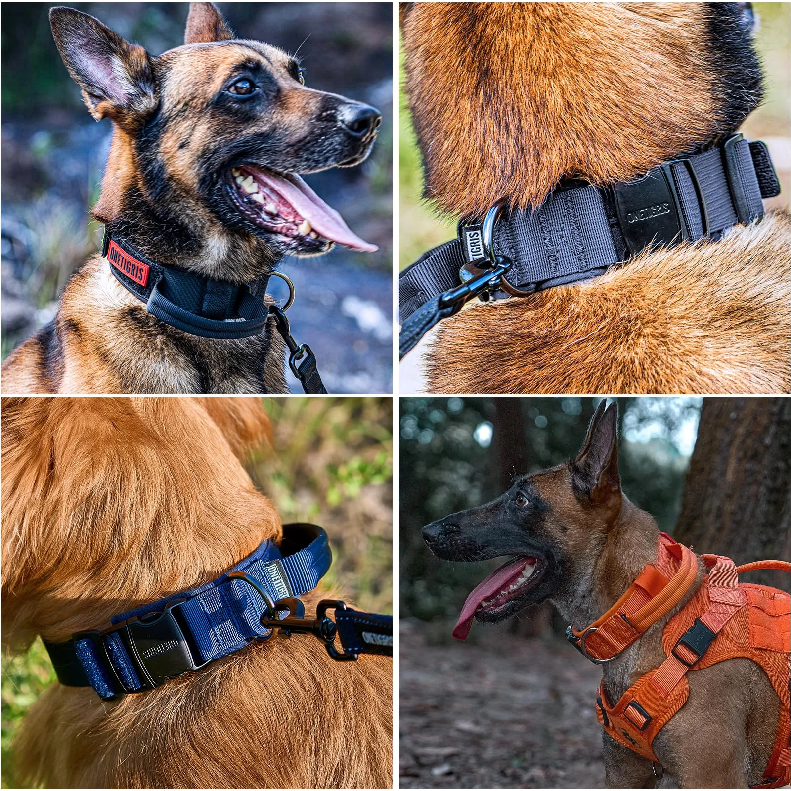 OneTigris Collare per cani con fibbia in metallo per cani (Verde, L) - immagine 8