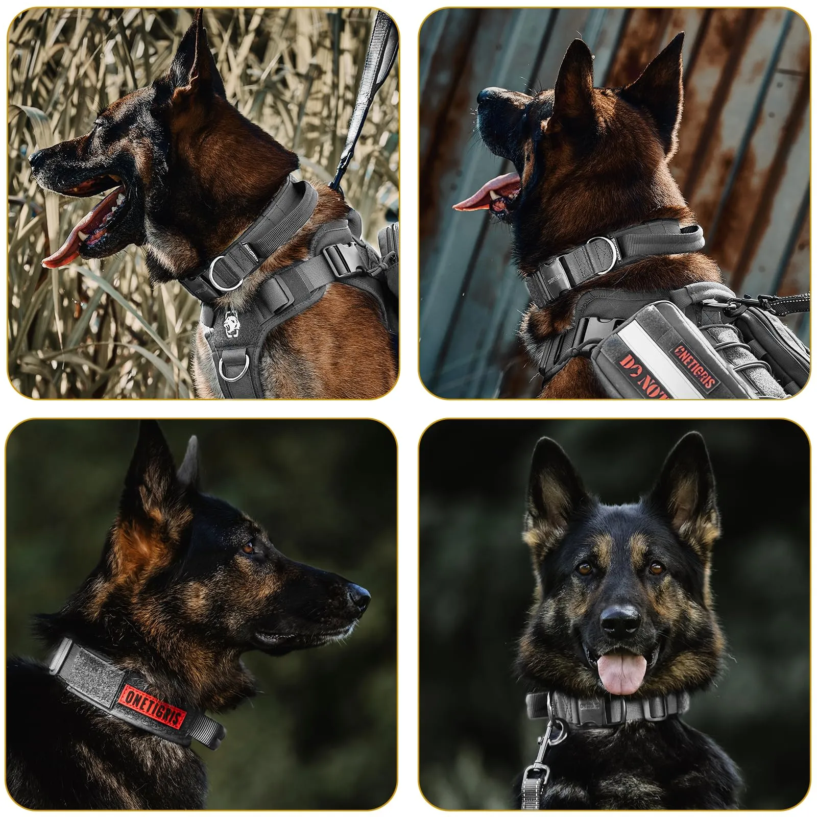 OneTigris Collare per cani con fibbia in metallo per cani (Grigio, M) - immagine 6