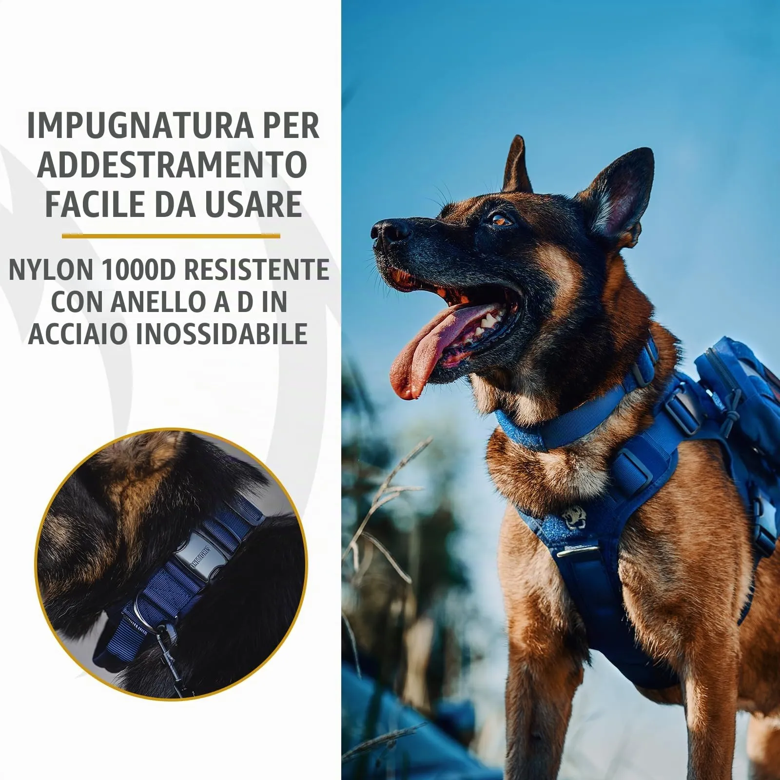 OneTigris Collare per cani con fibbia in metallo per cani (Blu, L) - immagine 4