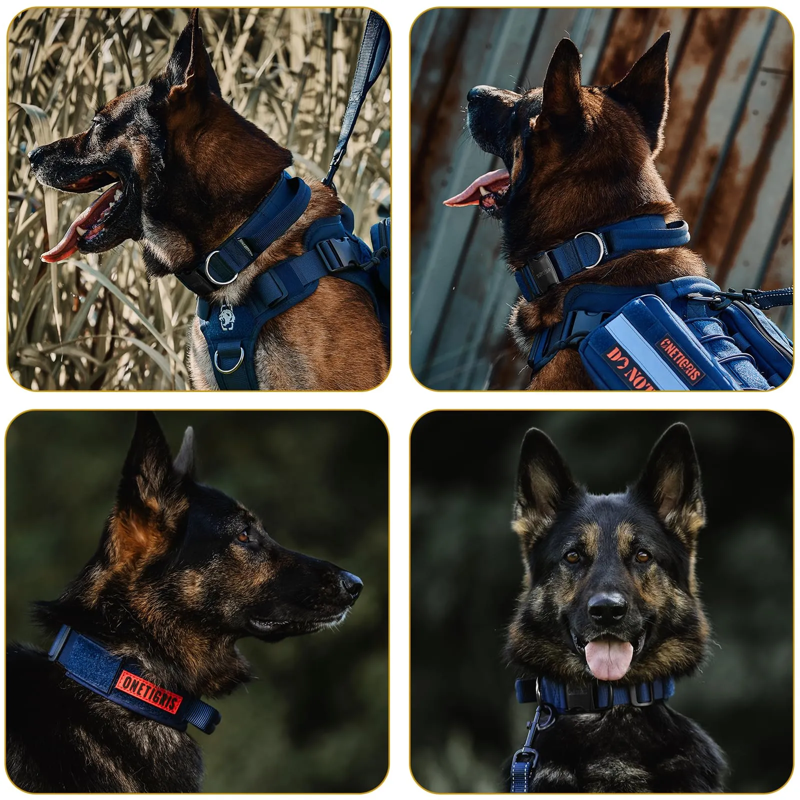 OneTigris Collare per cani con fibbia in metallo per cani (Blu, L) - immagine 6