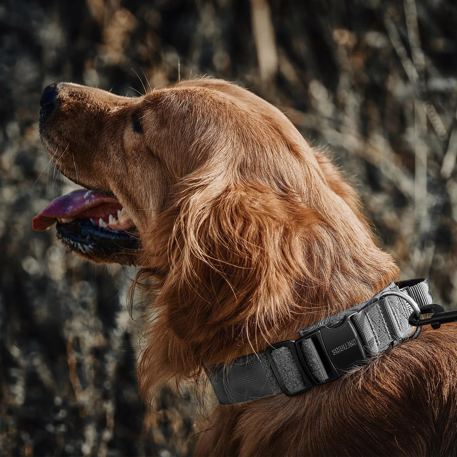 OneTigris Collare per cani con fibbia in metallo per cani (Grigio, L) - immagine 7