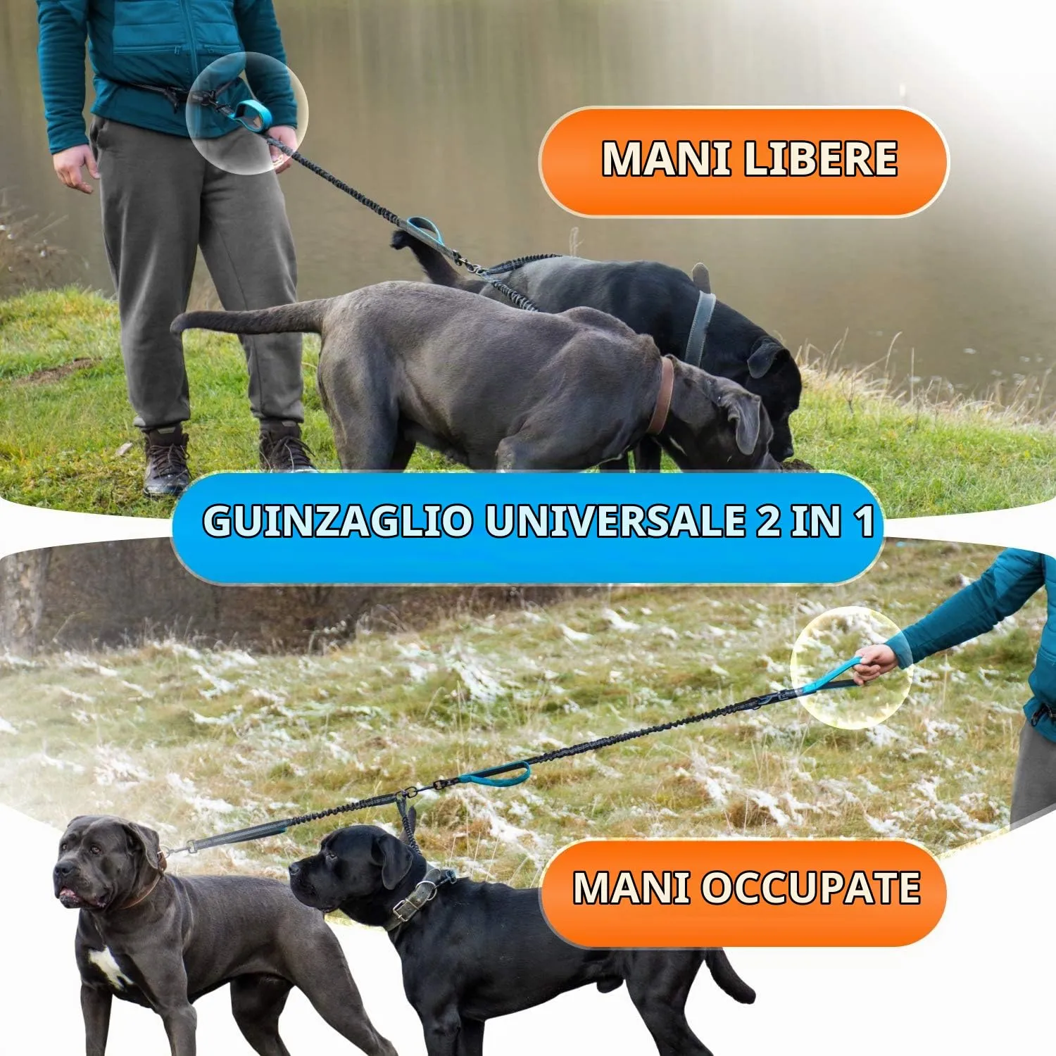 SparklyPets Guinzaglio doppio elastico vita con tutore schiena – doppio per razze medie/grandi – 2 marsupio corsa con tasche per telefono, rifiuti, dolcetti - immagine 6