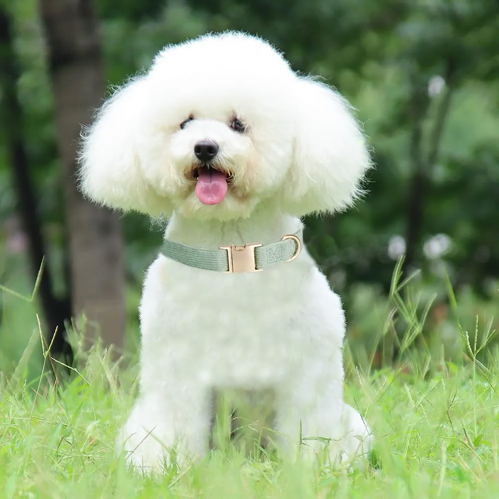 YUDOTE Collare per cani ultra morbido in velluto a coste di cotone naturale realizzato per cani di piccola taglia con pelle sensibile, verde salvia - immagine 3