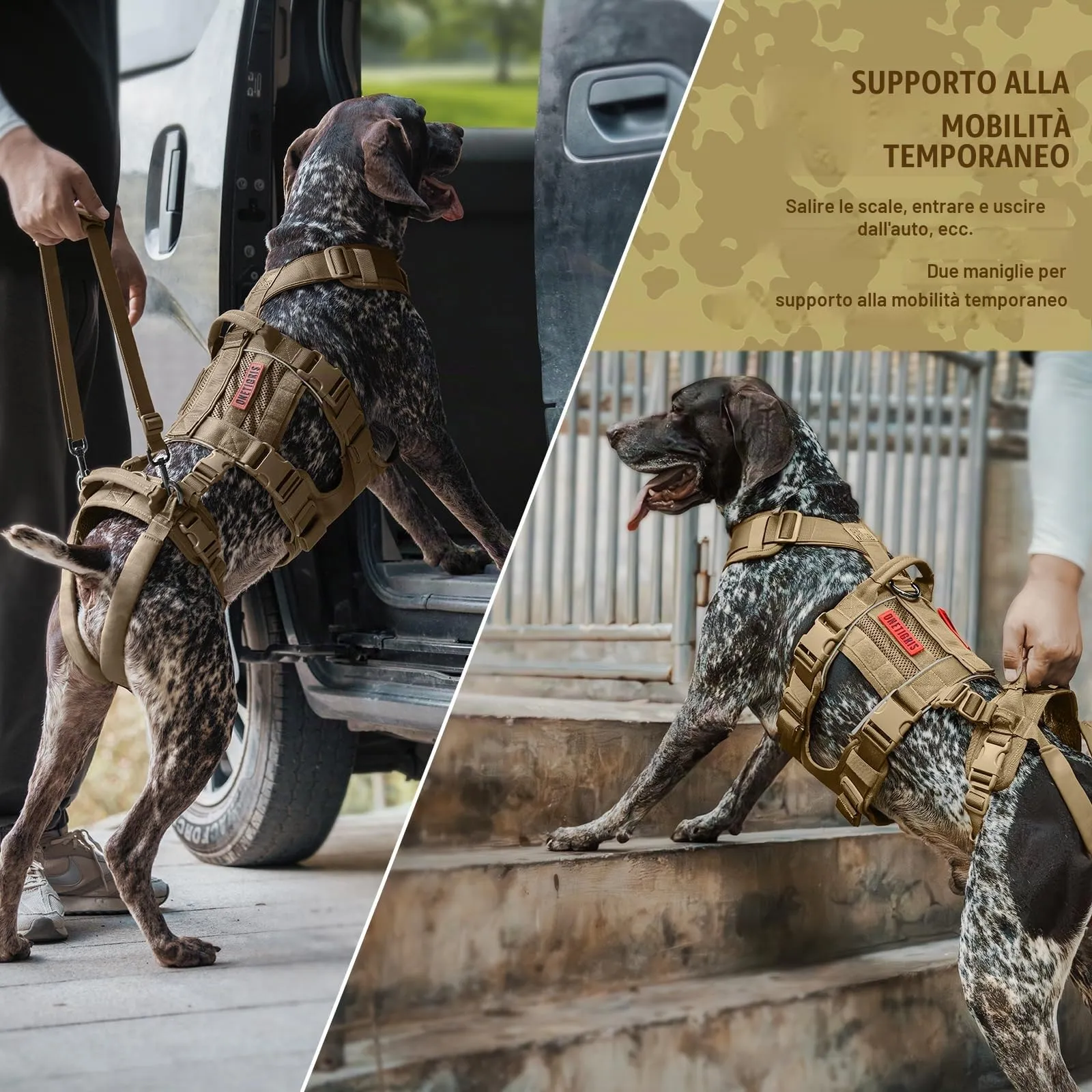 OneTigris Pettorina per cani, SKYEWALKER Supporto Imbracatura regolabile con 2 manici per supporto e riabilitazione, adatta per cani di taglia media e grande, marrone, L - immagine 5